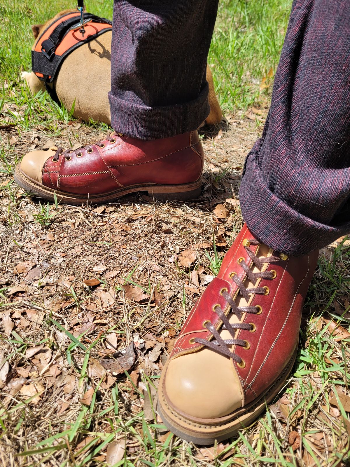 Photo by markieballa on May 13, 2025 of the Sagara Cordmaster in Conceria Cloe Natural Horsebutt Overdyed Oxblood & Conceria Cloe Natural Horsebutt.