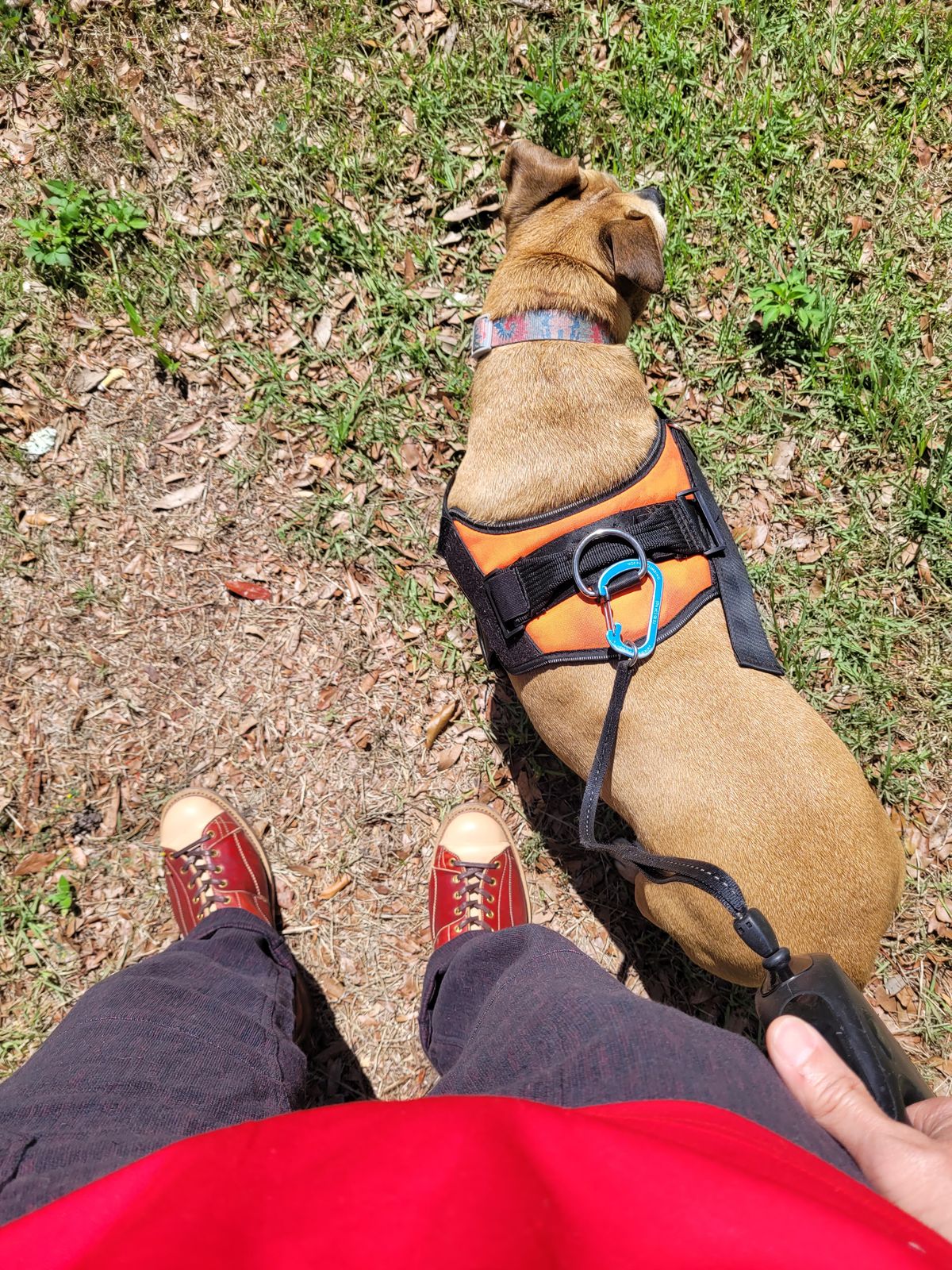 Photo by markieballa on May 13, 2025 of the Sagara Cordmaster in Conceria Cloe Natural Horsebutt Overdyed Oxblood & Conceria Cloe Natural Horsebutt.