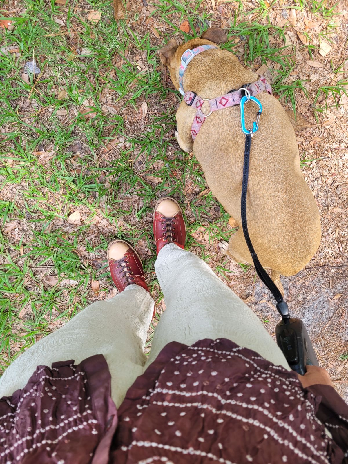 Photo by markieballa on June 7, 2025 of the Sagara Cordmaster in Conceria Cloe Natural Horsebutt Overdyed Oxblood & Conceria Cloe Natural Horsebutt.