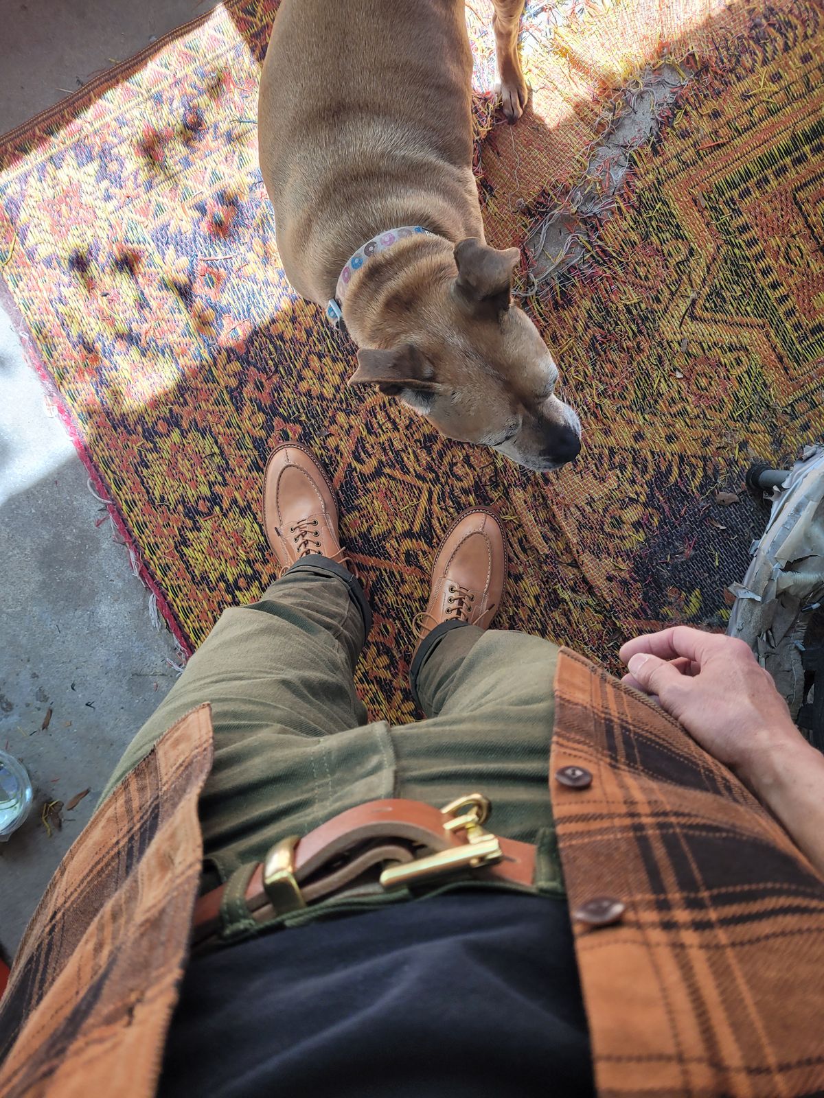 Photo by markieballa on March 12, 2025 of the Onderhoud SPL01 in Wickett & Craig Russet Traditional Harness.
