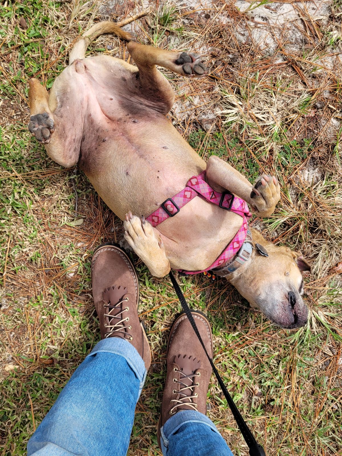 Photo by markieballa on October 13, 2023 of the Nicks BuilderPro in Seidel MaxSupport Walnut Roughout.