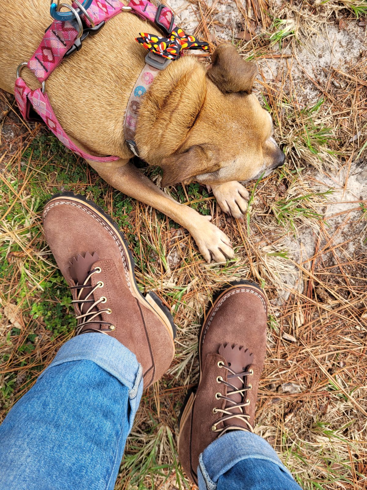 Photo by markieballa on October 13, 2023 of the Nicks BuilderPro in Seidel MaxSupport Walnut Roughout.