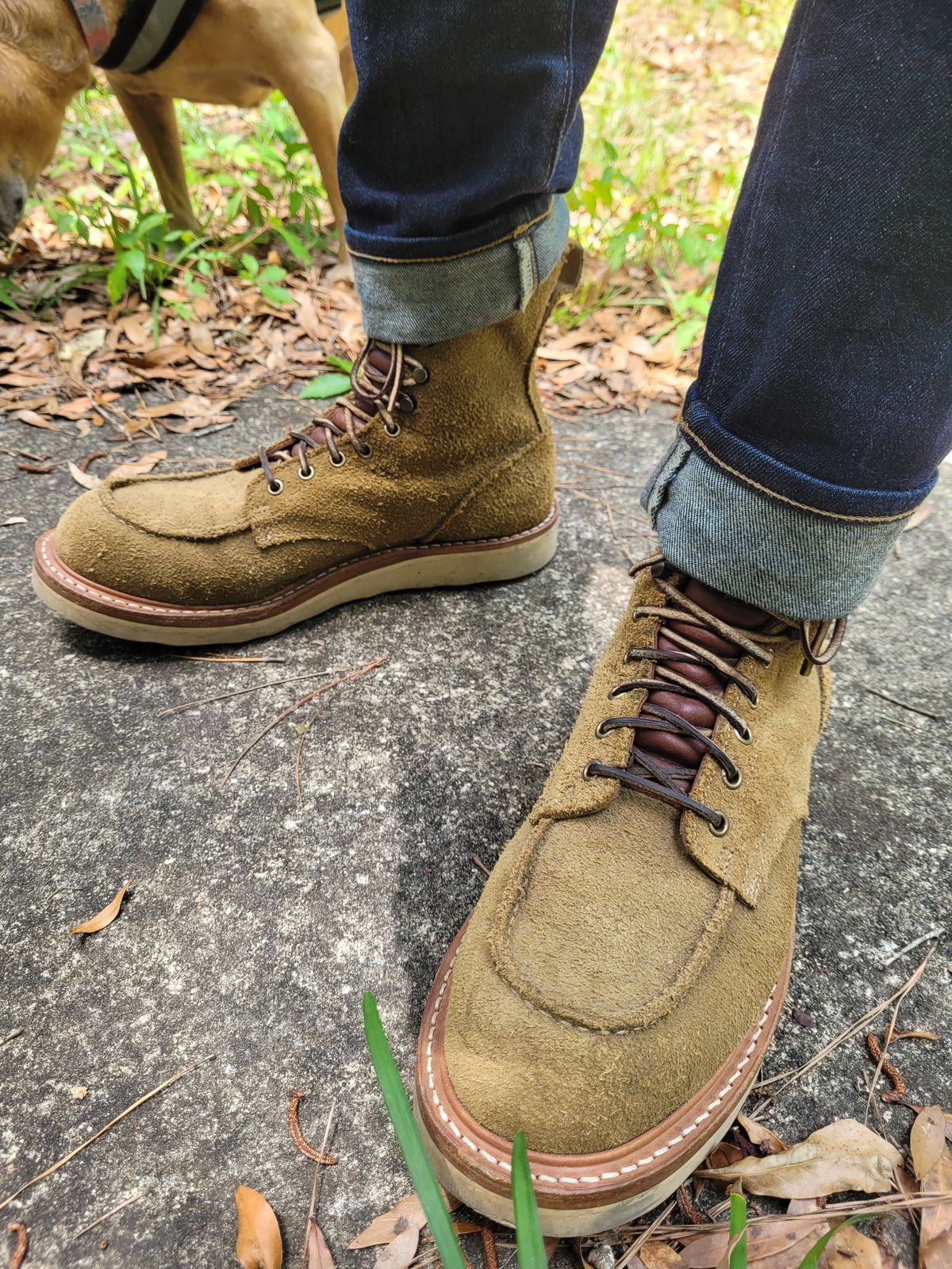 Photo by markieballa on May 14, 2025 of the Truman Upland Moc Toe Boot in Tasman Leather Group Coyote Roughout.