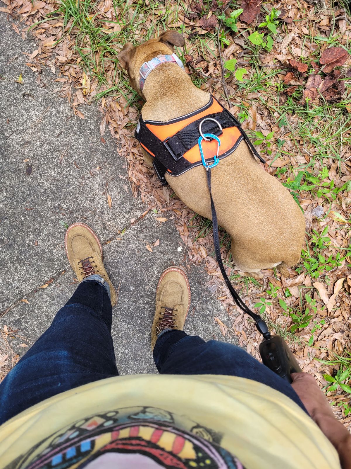 Photo by markieballa on May 14, 2025 of the Truman Upland Moc Toe Boot in Tasman Leather Group Coyote Roughout.