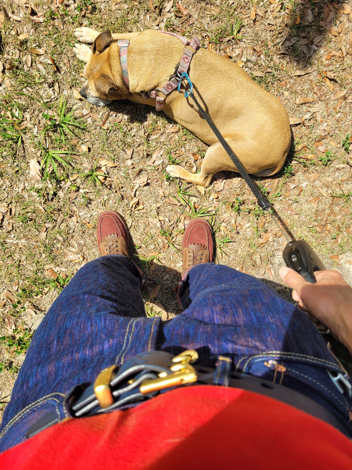 Photo by markieballa on May 26, 2025 of the Studio d'Artisan SP-084 15oz 45th Hinode Awa Shoai Jeans Regular Straight in 15 oz Tokushima Hinode Awa Shoai Natural Indigo/Akane Selvedge Denim.