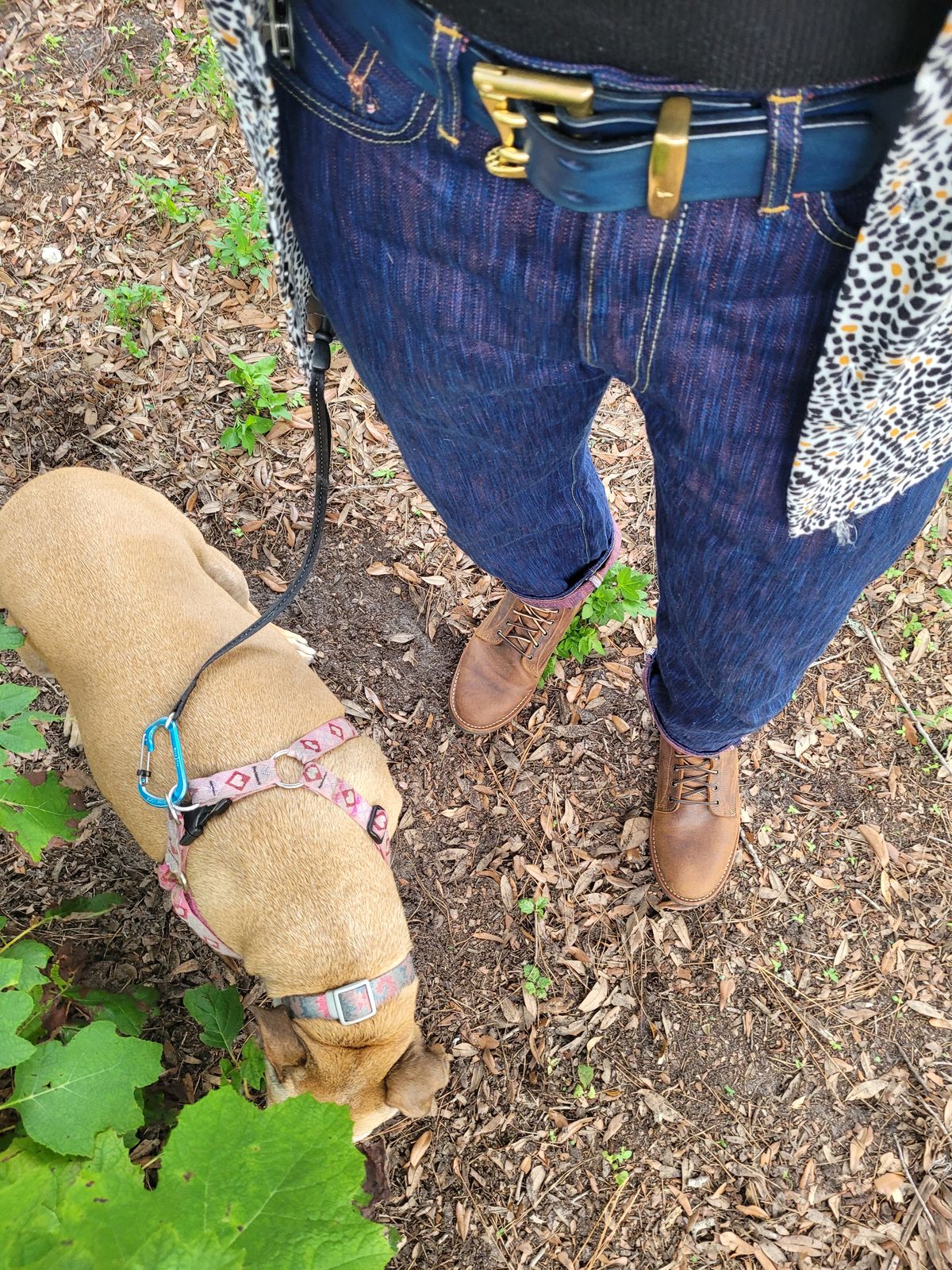 Photo by markieballa on June 19, 2025 of the Studio d'Artisan SP-084 15oz 45th Hinode Awa Shoai Jeans Regular Straight in 15 oz Tokushima Hinode Awa Shoai Natural Indigo/Akane Selvedge Denim.