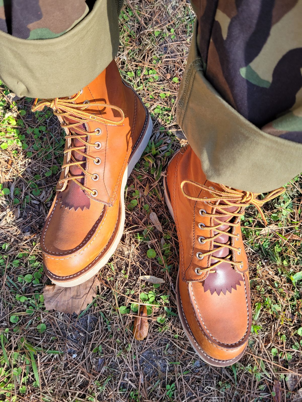 Photo by markieballa on December 7, 2022 of the Red Wing 8-Inch Classic Moc in S.B. Foot Oro Legacy.