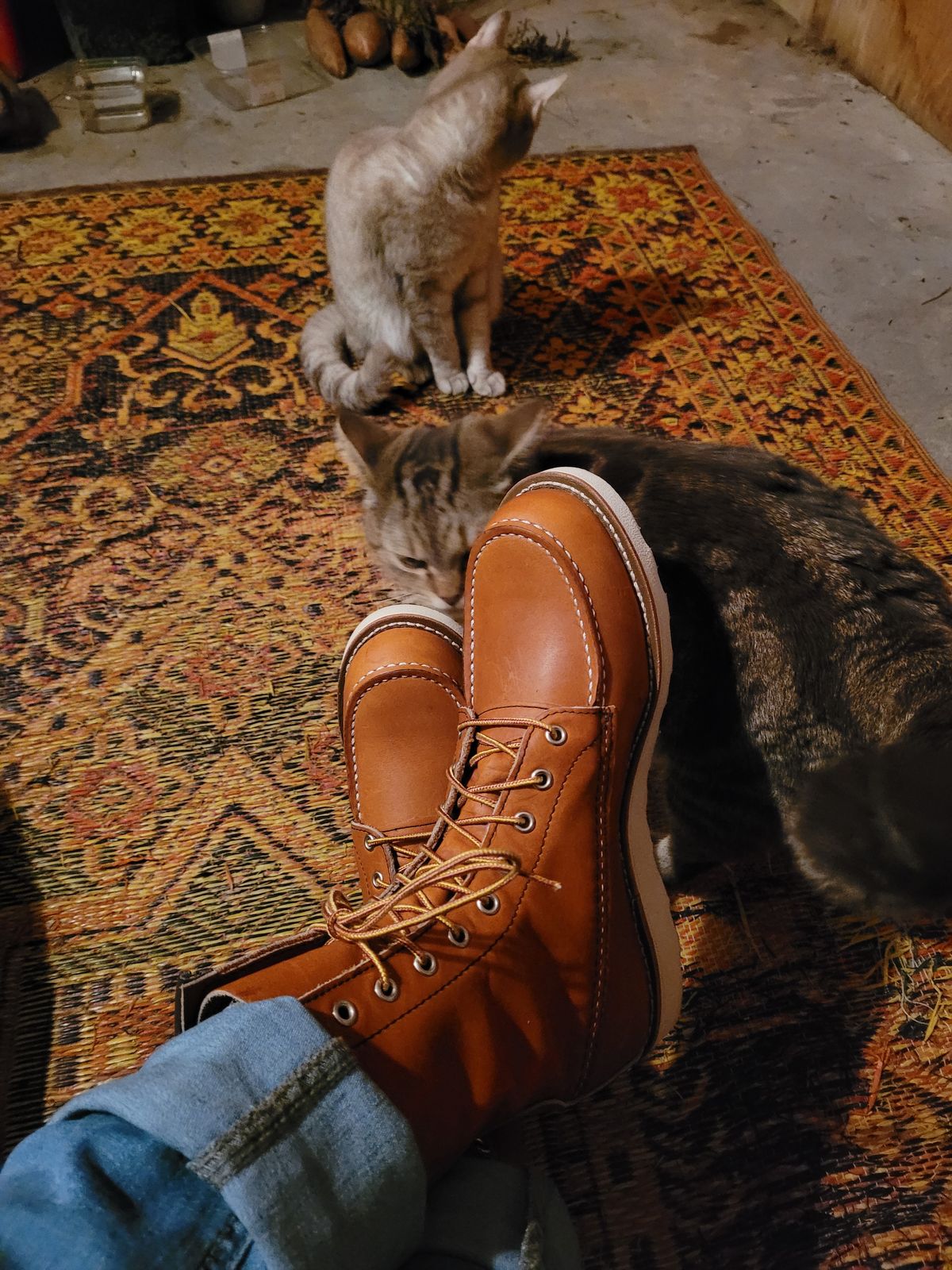 Photo by markieballa on October 9, 2022 of the Red Wing 8-Inch Classic Moc in S.B. Foot Oro Legacy.