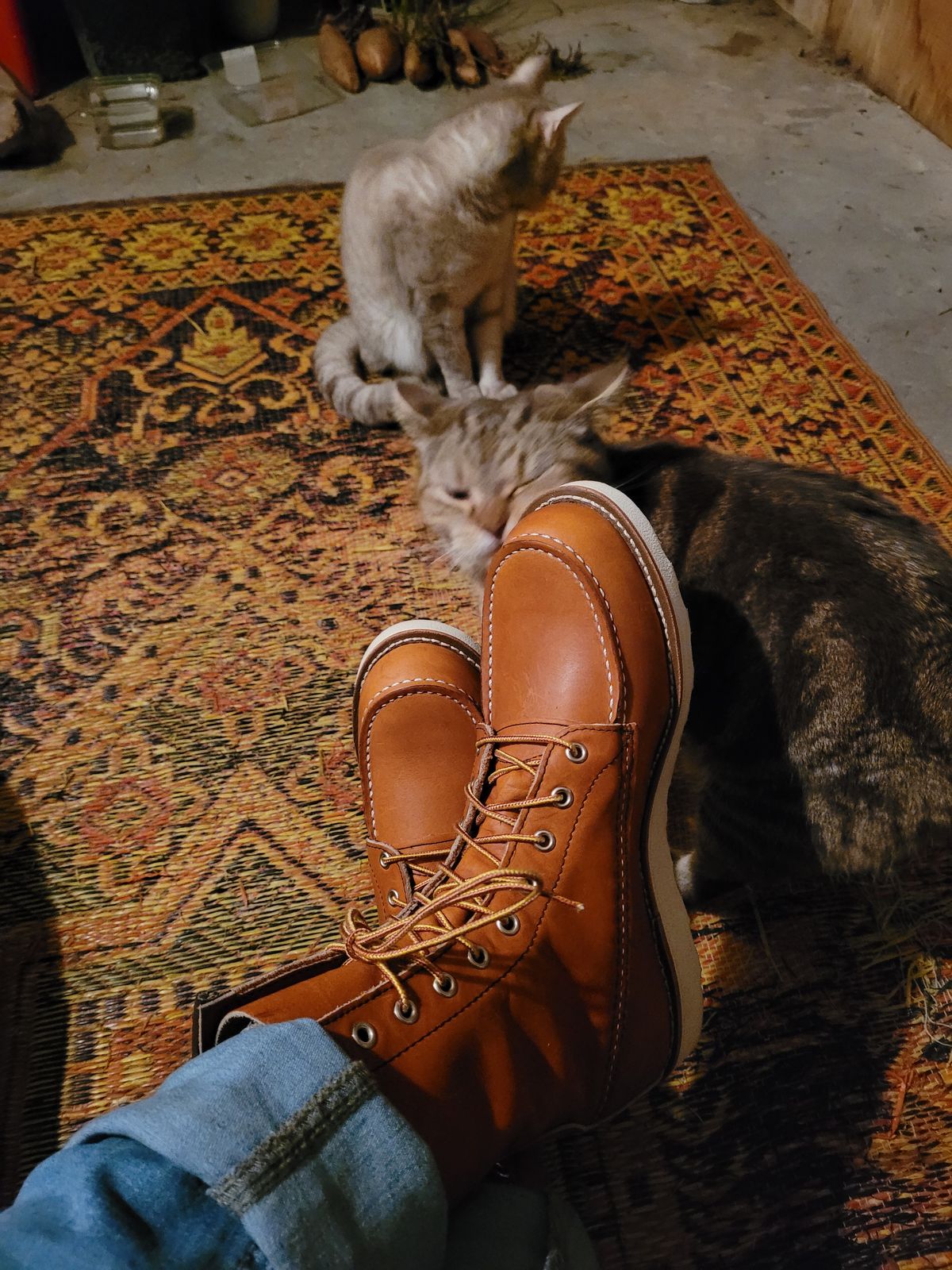 Photo by markieballa on October 9, 2022 of the Red Wing 8-Inch Classic Moc in S.B. Foot Oro Legacy.