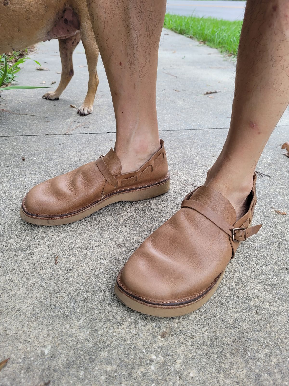 Photo by markieballa on June 15, 2025 of the Oak Street Bootmakers Country Loafer in Horween Natural Chromexcel.