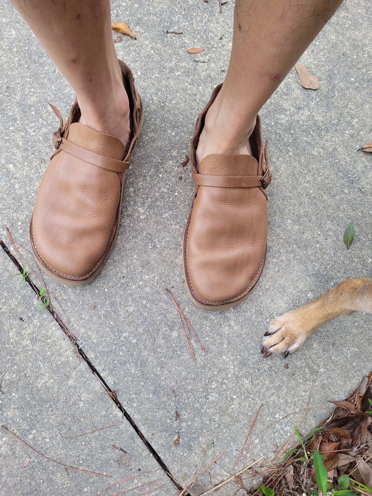 Photo by markieballa on June 15, 2025 of the Oak Street Bootmakers Country Loafer in Horween Natural Chromexcel.