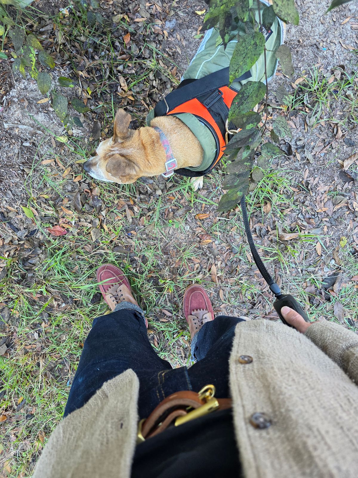 Photo by markieballa on November 5, 2025 of the Fortis Boots Moc Toe Boots in Indonesian Crazy Horse & Indonesian Burgundy Pull Up Roughout.