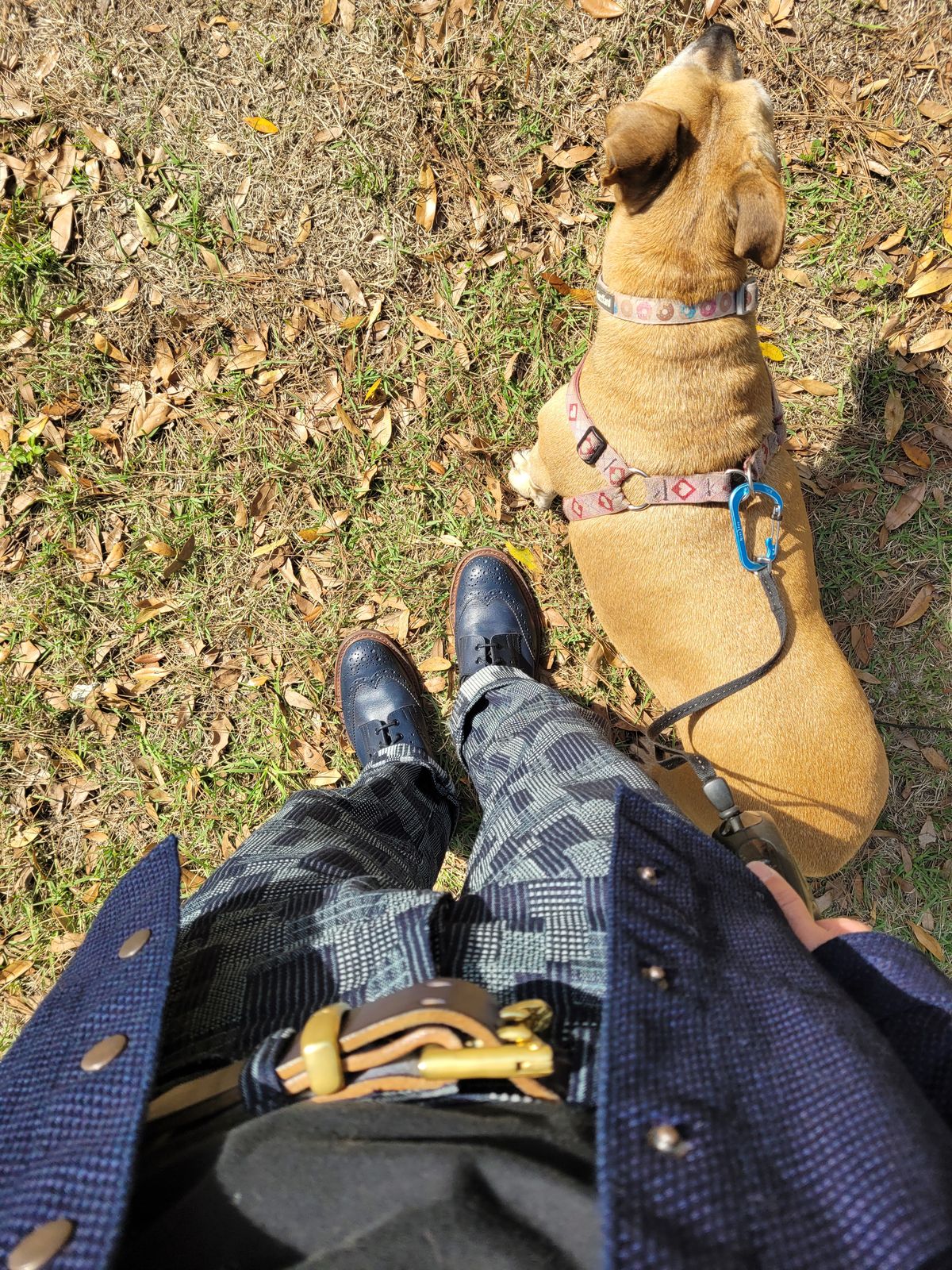 Photo by markieballa on March 1, 2025 of the Tricker's Stow Country Boot in Navy Calf.