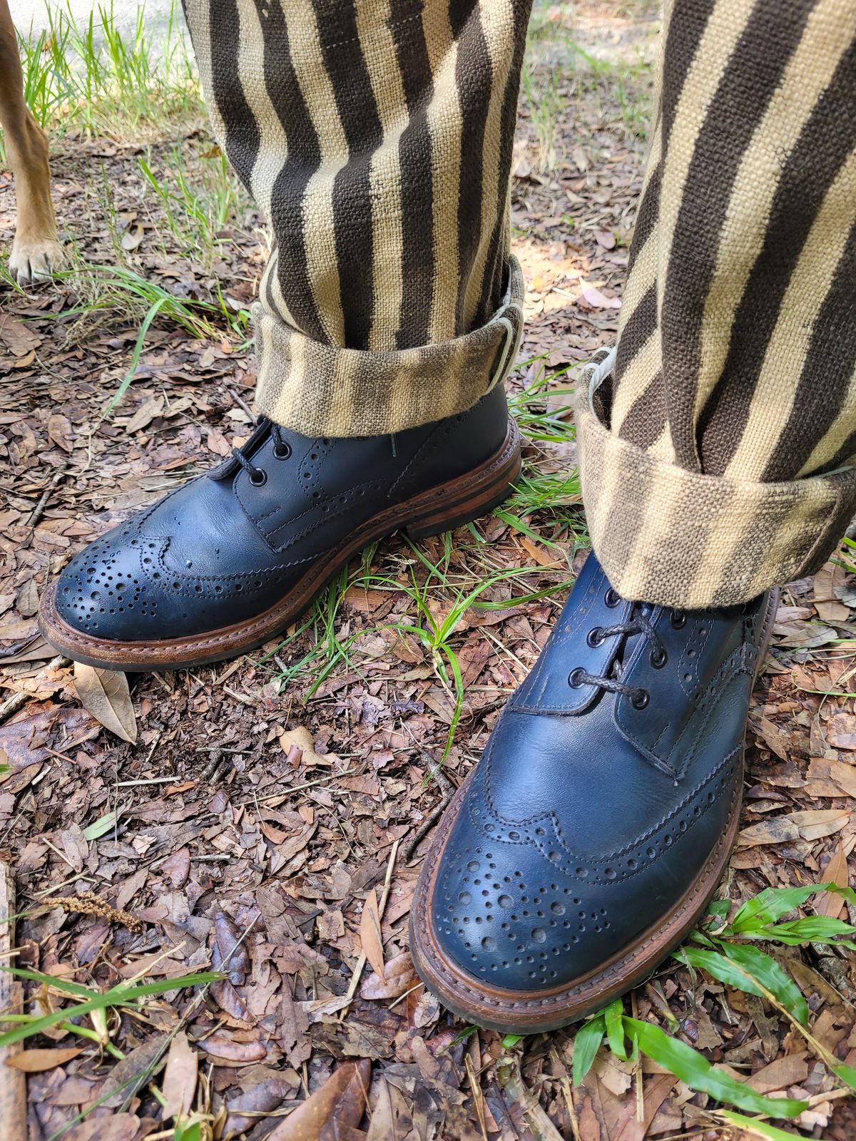 Photo by markieballa on July 1, 2025 of the Tricker's Stow Country Boot in Navy Calf.