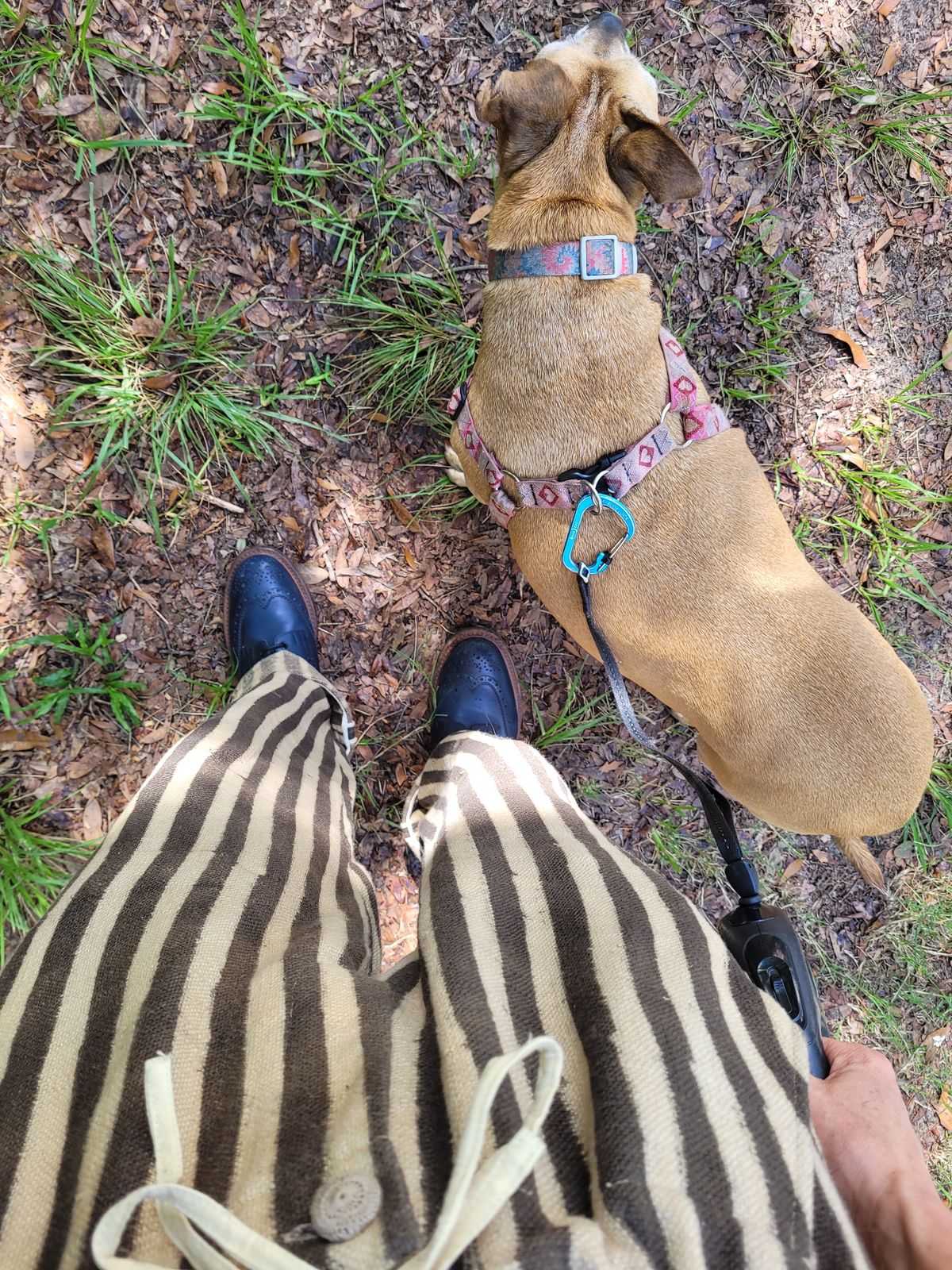 Photo by markieballa on July 1, 2025 of the Tricker's Stow Country Boot in Navy Calf.