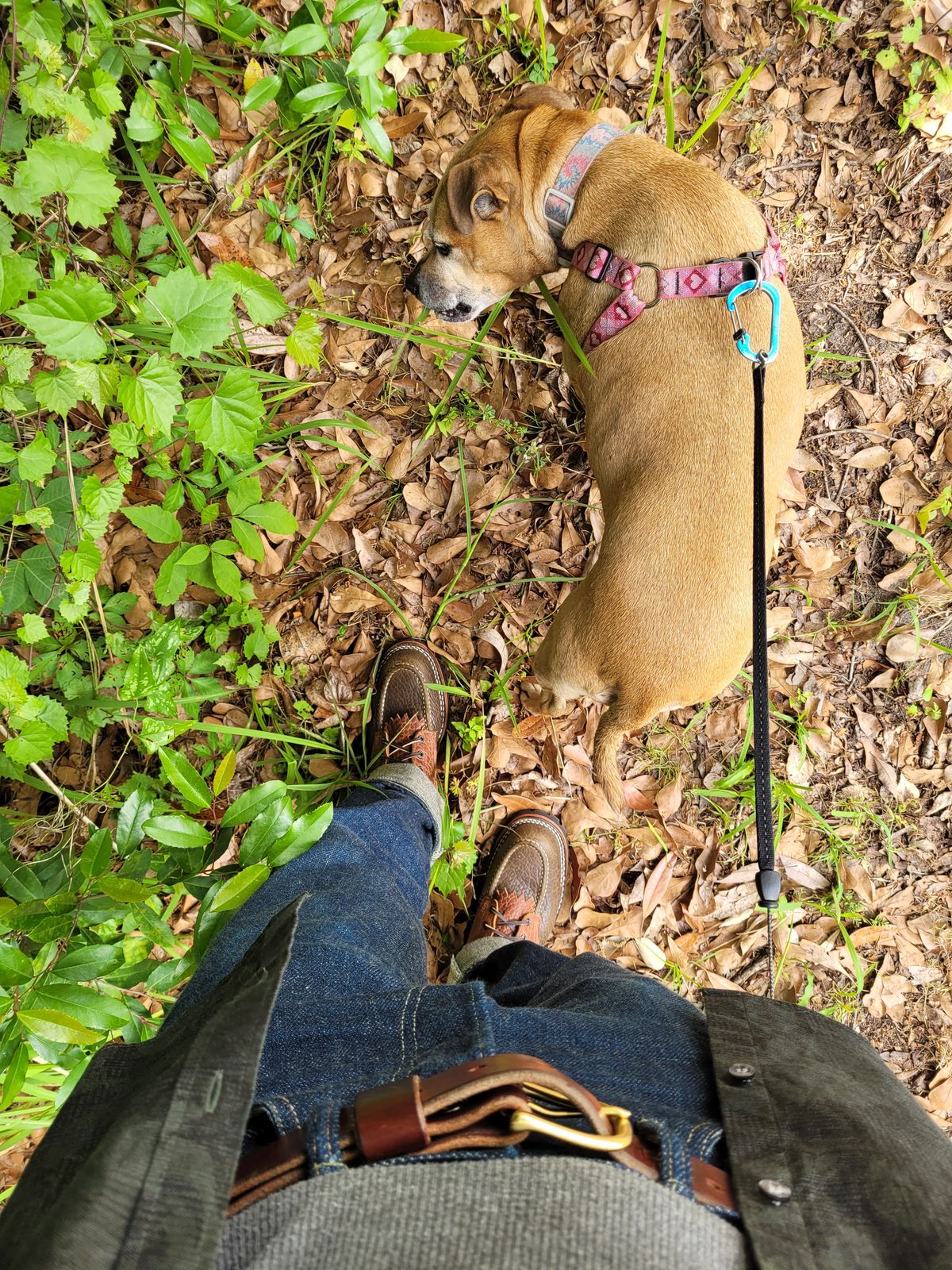 Photo by markieballa on April 2, 2024 of the Nicks BuilderPro in Law Tanning Olive Smooth Shruken Bison & Law Tanning Brown Smooth Shruken Bison.