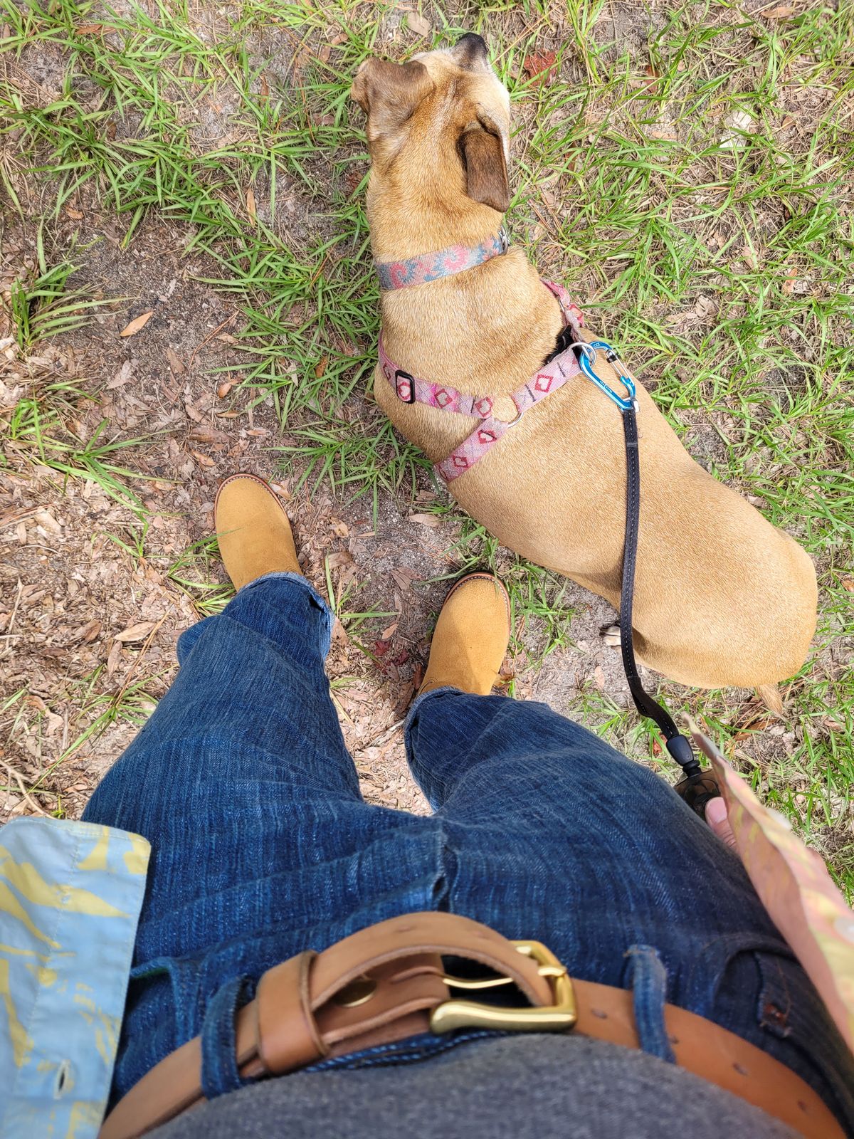 Photo by markieballa on July 6, 2025 of the Keystone Shoe Company Engineer Boot in Tan Roughout.
