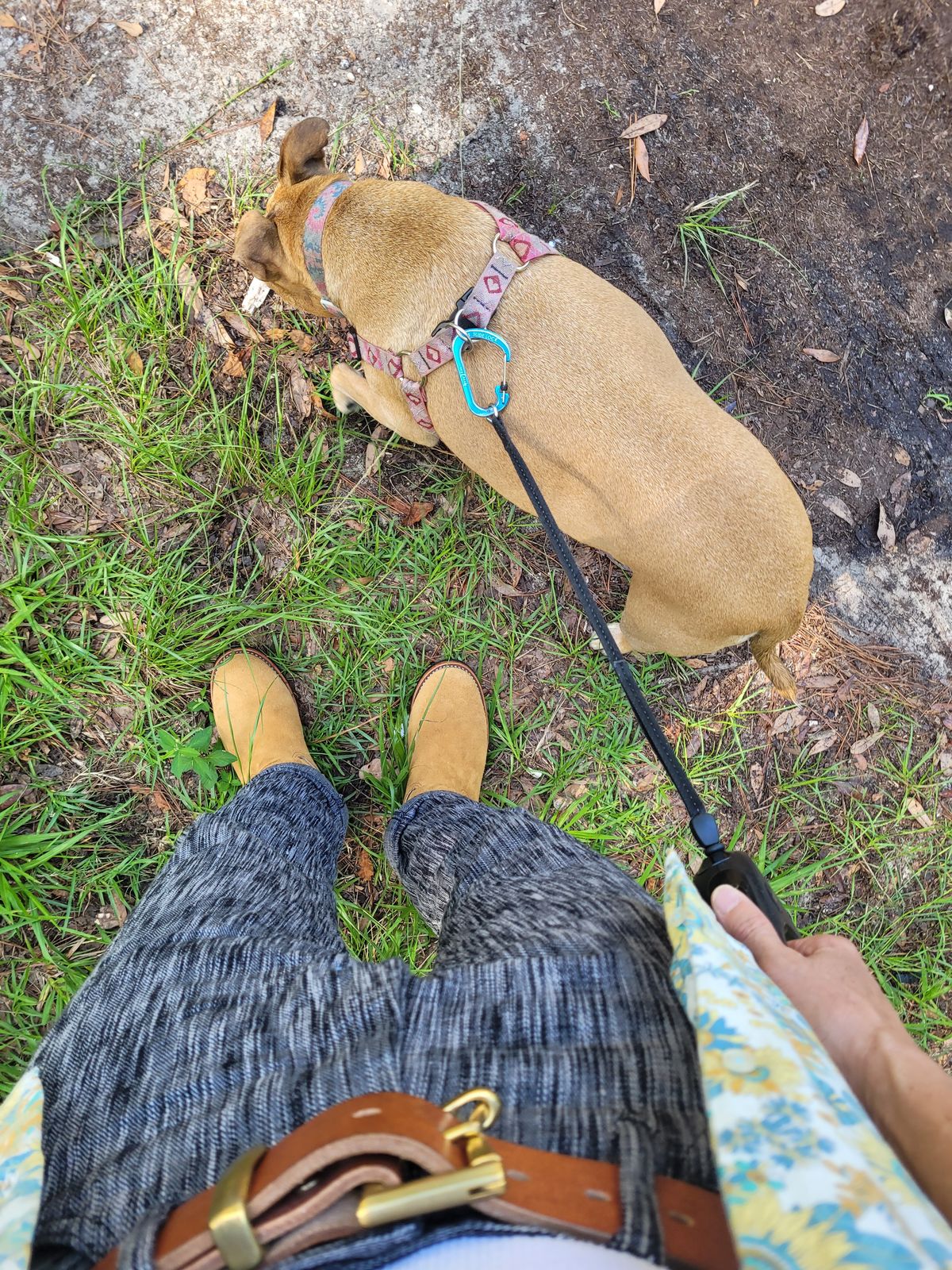 Photo by markieballa on July 26, 2025 of the Keystone Shoe Company Engineer Boot in Tan Roughout.