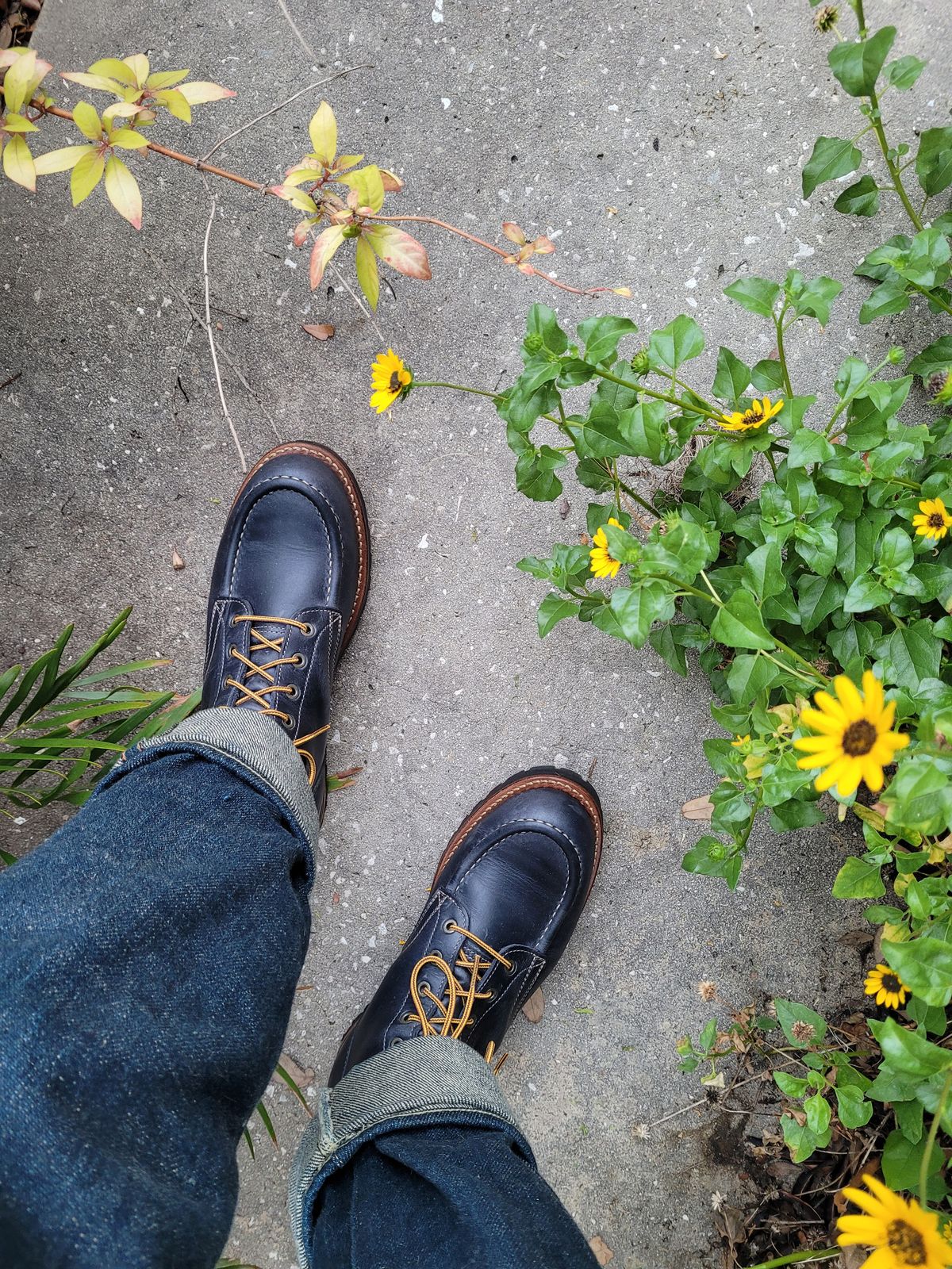 Photo by markieballa on May 28, 2025 of the Truman Moc Toe in Seidel Ink Cheaha.