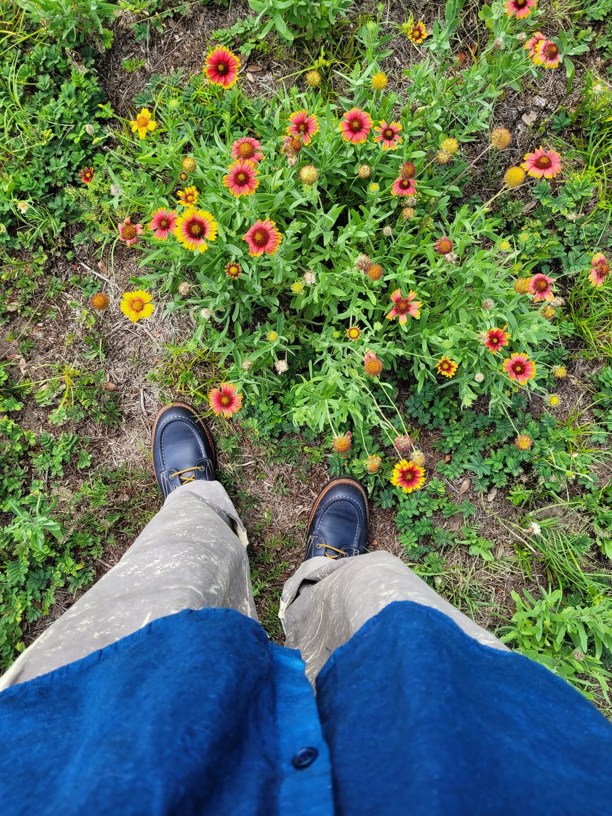 Photo by markieballa on June 6, 2025 of the Truman Moc Toe in Seidel Ink Cheaha.