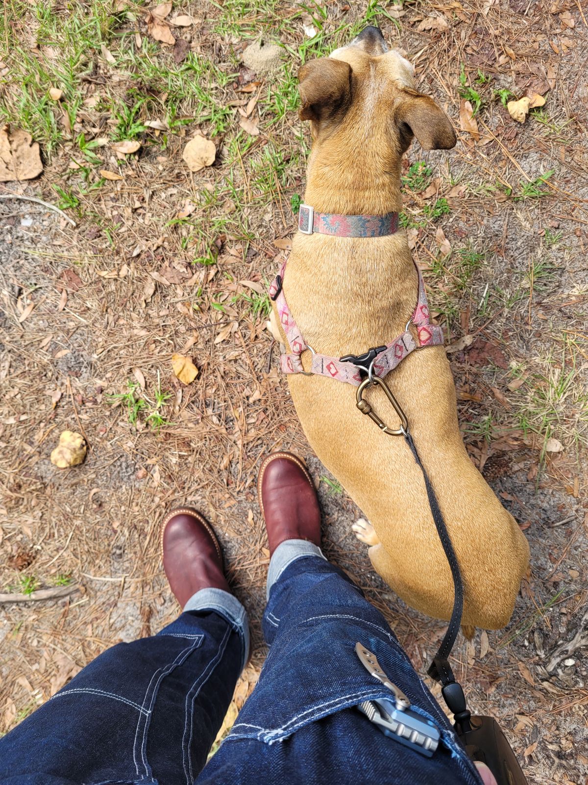 Photo by markieballa on October 21, 2025 of the John Lofgren Wabash Engineer Boots in Burnt Burgundy Ezo Shika Deerskin.