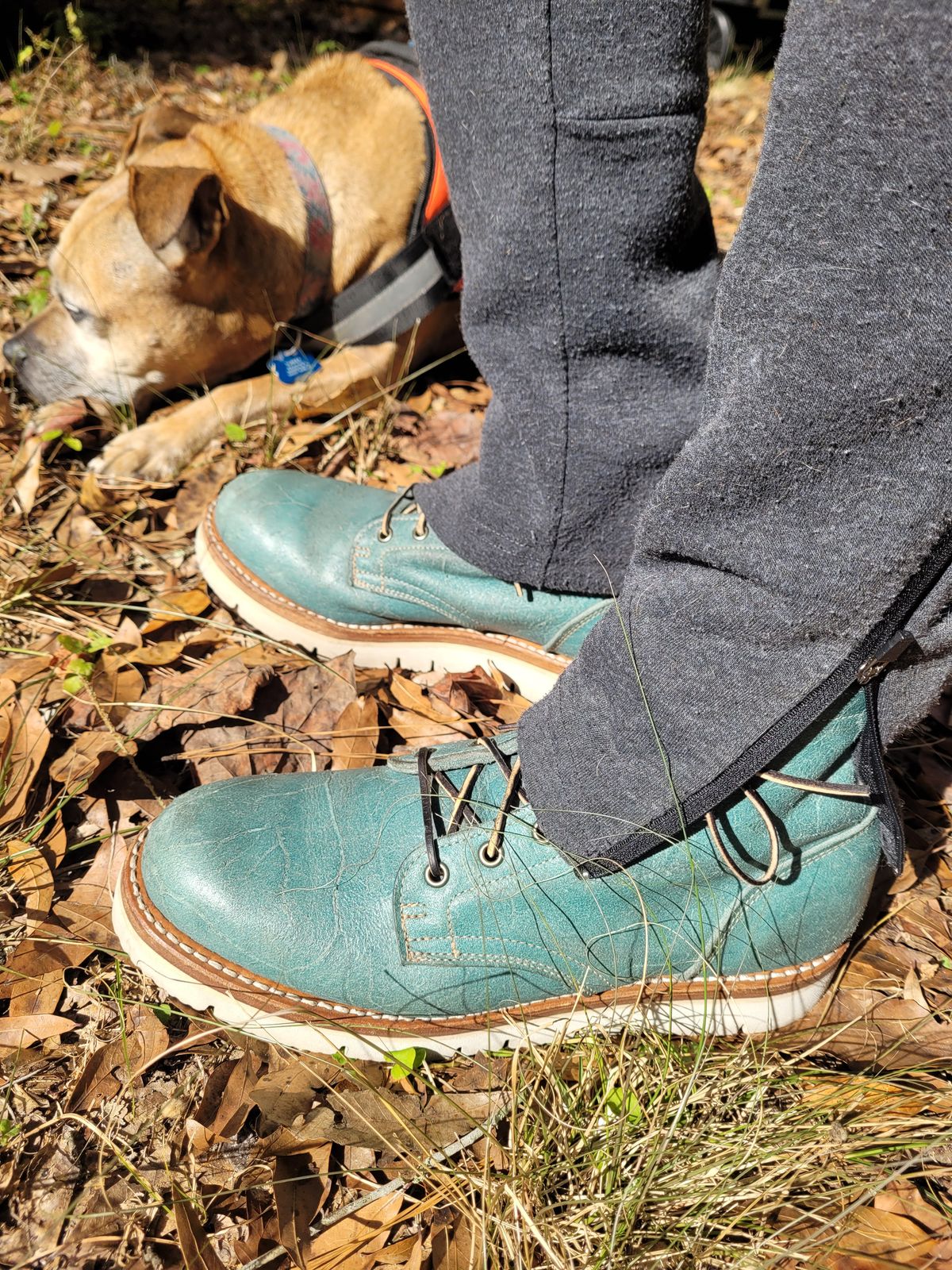 Photo by markieballa on December 8, 2024 of the Truman Plain Toe Boot in C.F. Stead Aqua Rambler.