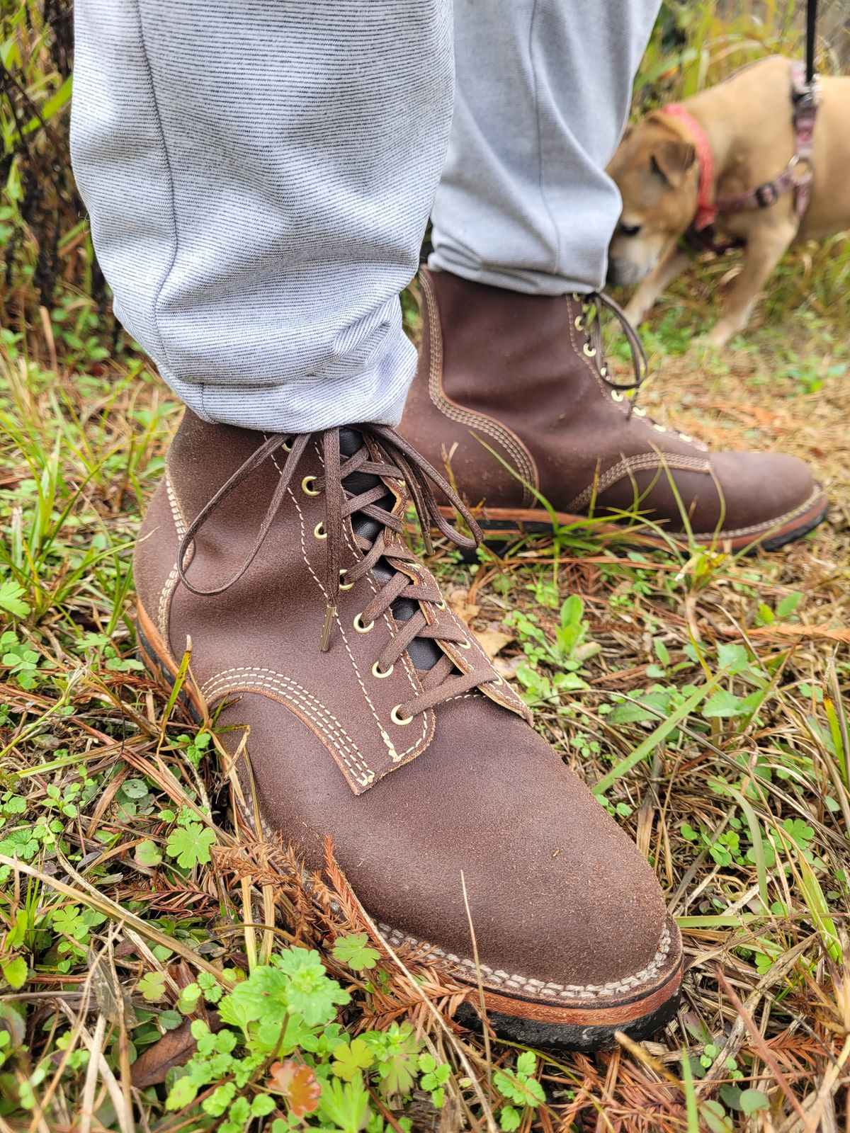 Photo by markieballa on January 19, 2025 of the Oldspeed Boondockers in Wickett & Craig Dark Brown English Bridle.