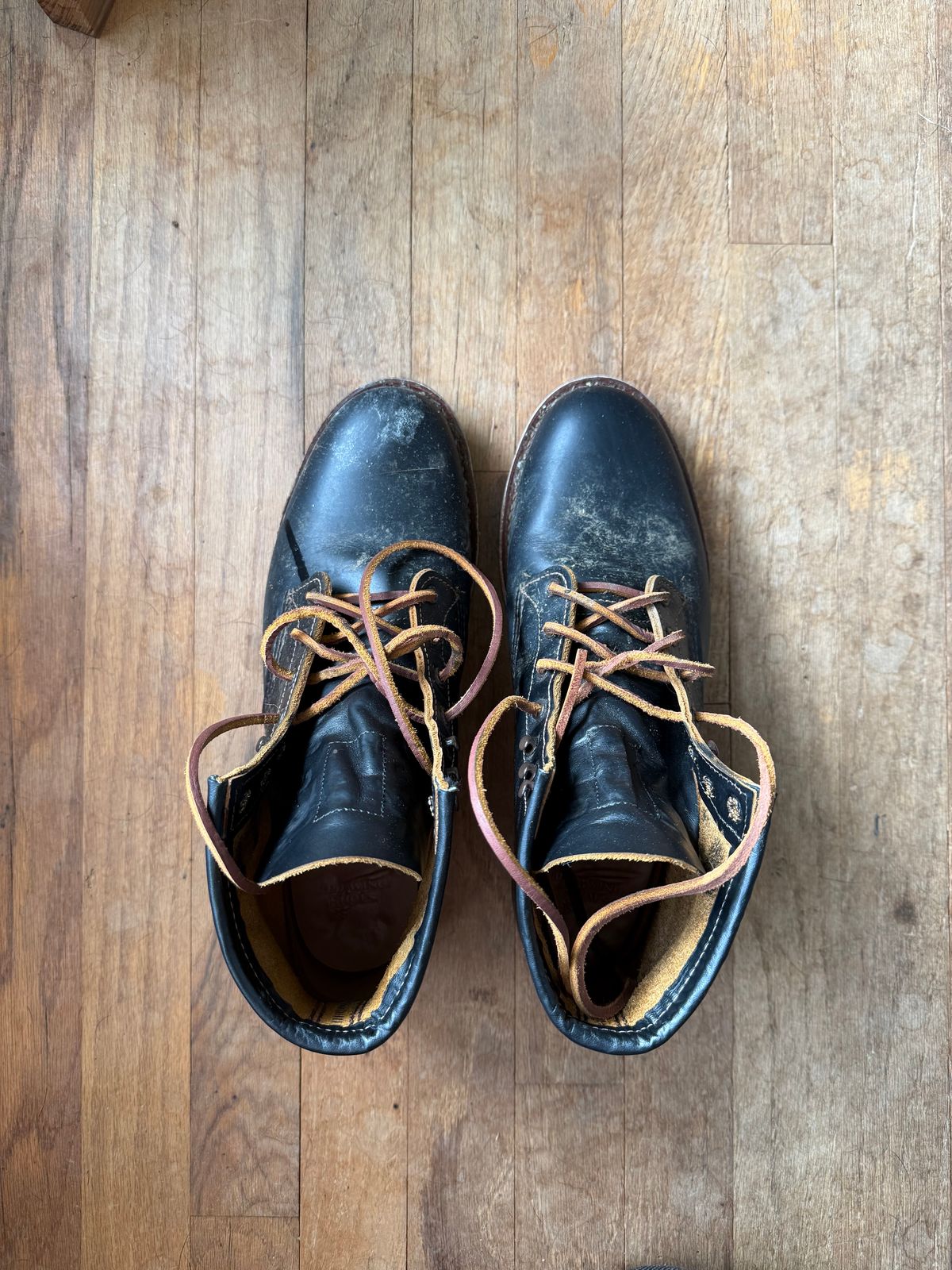 Photo by nickubed on November 5, 2024 of the Red Wing Beckman Flatbox in S.B. Foot Black Klondike.