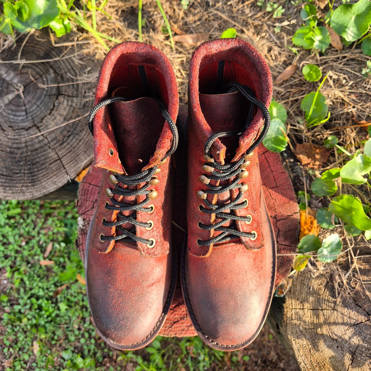 Photo by jg on October 3, 2025 of the Urban Wolf Club Axeman in Unkown Copper Roughout.