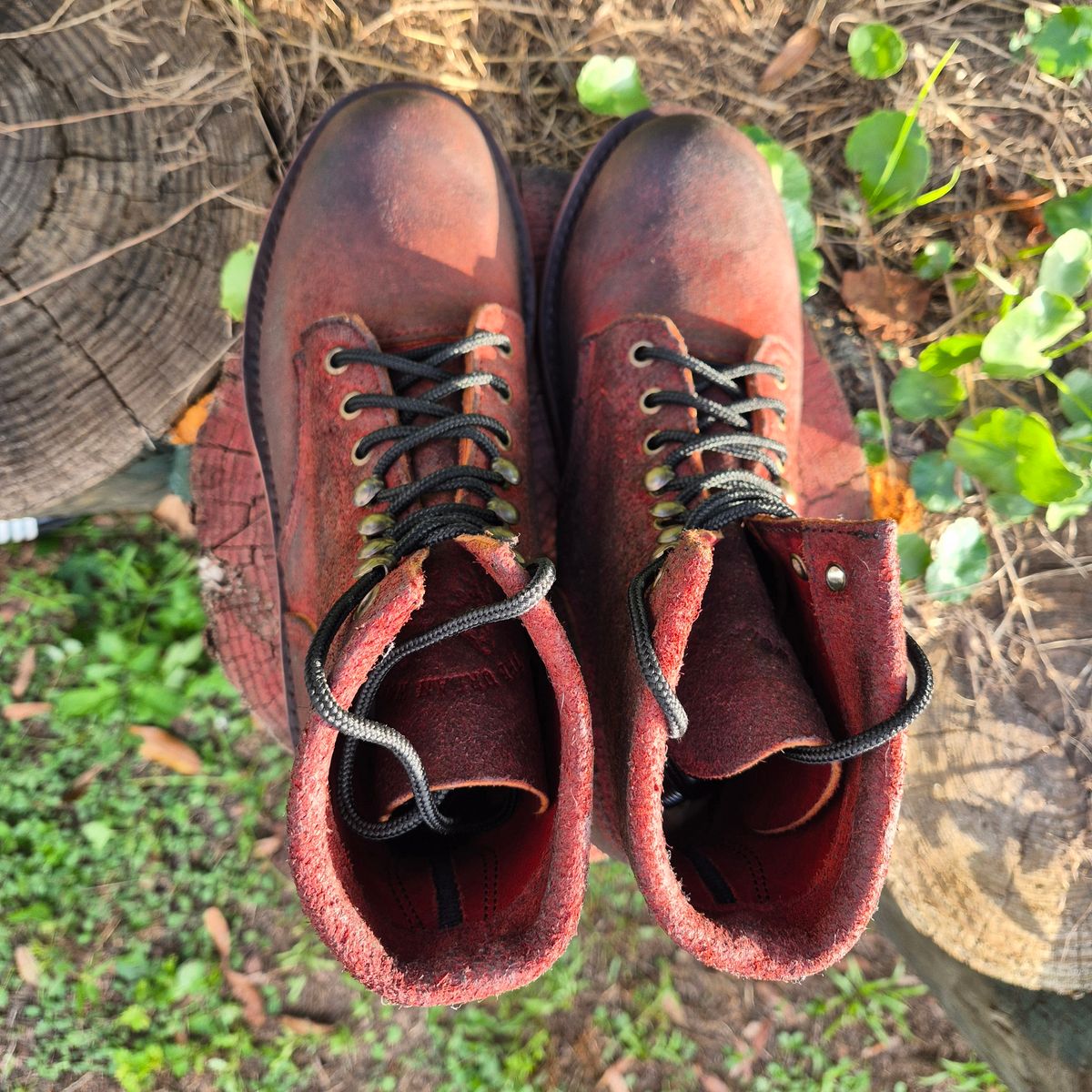 Photo by jg on October 3, 2025 of the Urban Wolf Club Axeman in Unkown Copper Roughout.