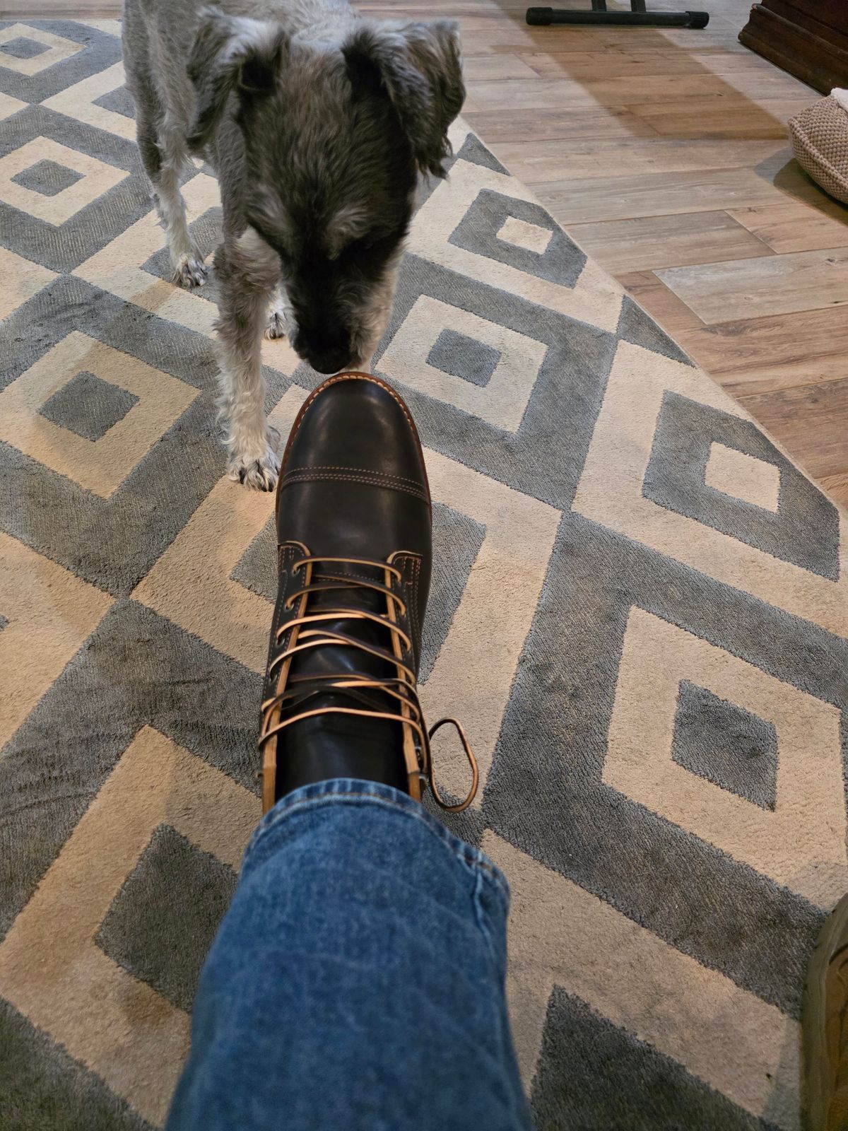 Photo by mluc on February 6, 2025 of the Truman Black Cypress Teacore in Black Teacore.