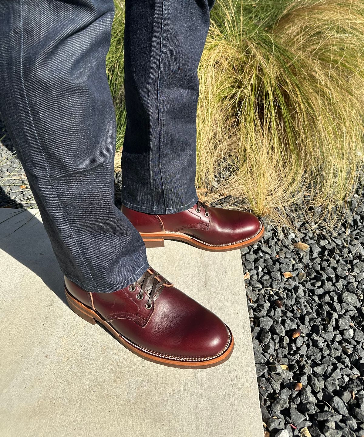Photo by sans_cuff on October 1, 2025 of the Oak Street Bootmakers Storm Boot in Horween Color 8 Chromexcel.