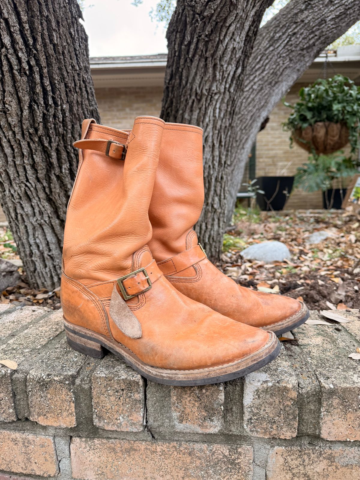 Photo by adriankgonzales on March 5, 2026 of the Wesco x S&S Van Cleef III in Unknown Natural Veg Tan.