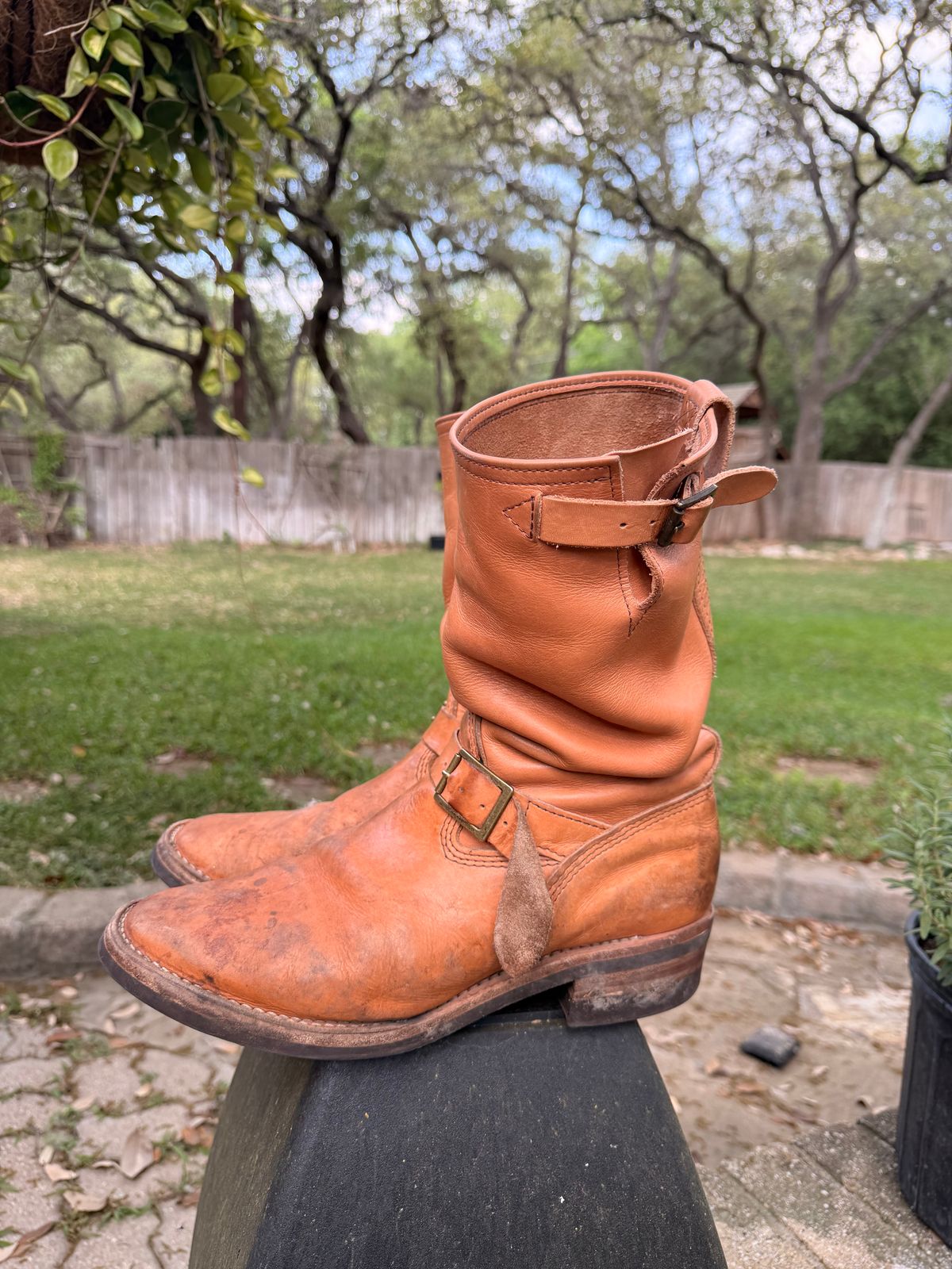 Photo by adriankgonzales on April 1, 2026 of the Wesco x S&S Van Cleef III in Unknown Natural Veg Tan.