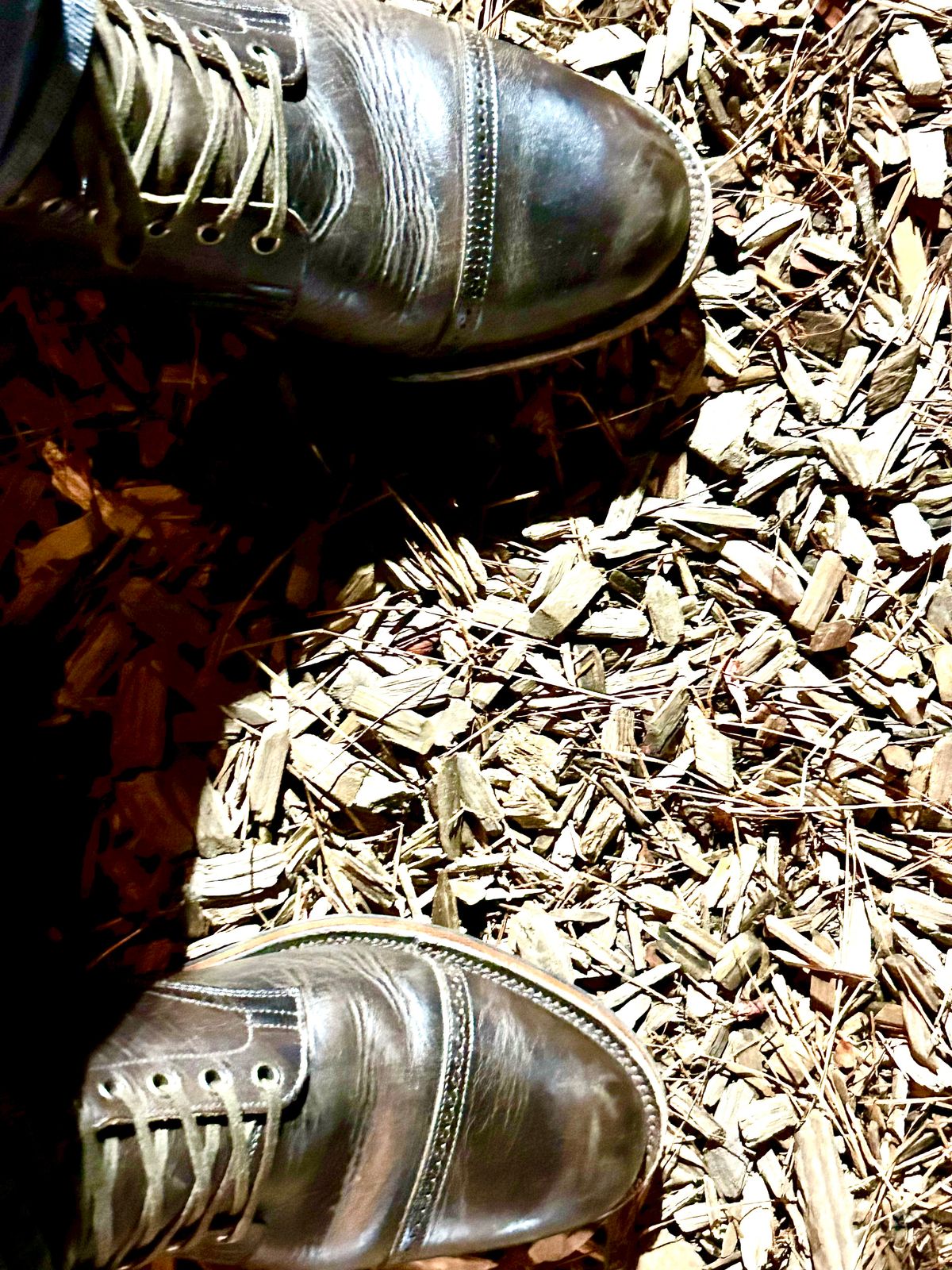 Photo by lowrollr on November 2, 2025 of the Viberg Service Boot BCT in C.F. Stead Antique Phoenix.