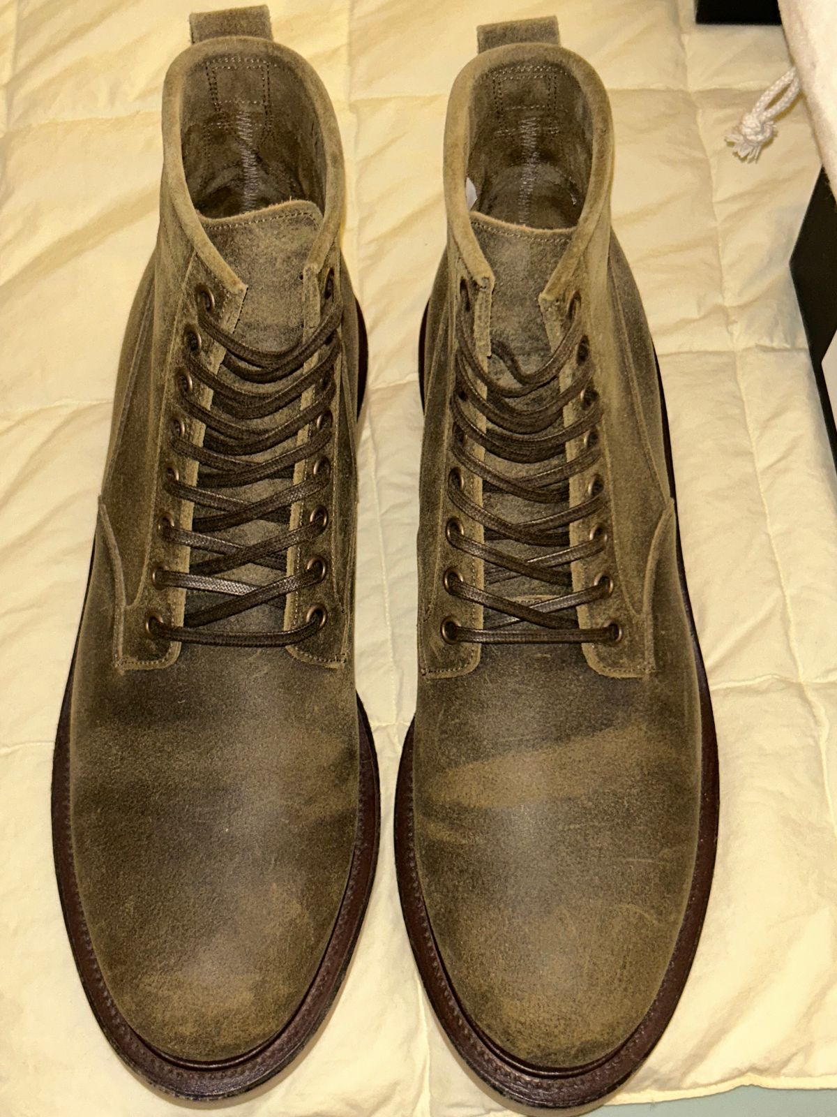 Photo by lowrollr on February 8, 2026 of the Viberg Scout Boot in Viberg / C.F. Stead Mojave Waxy Commander.