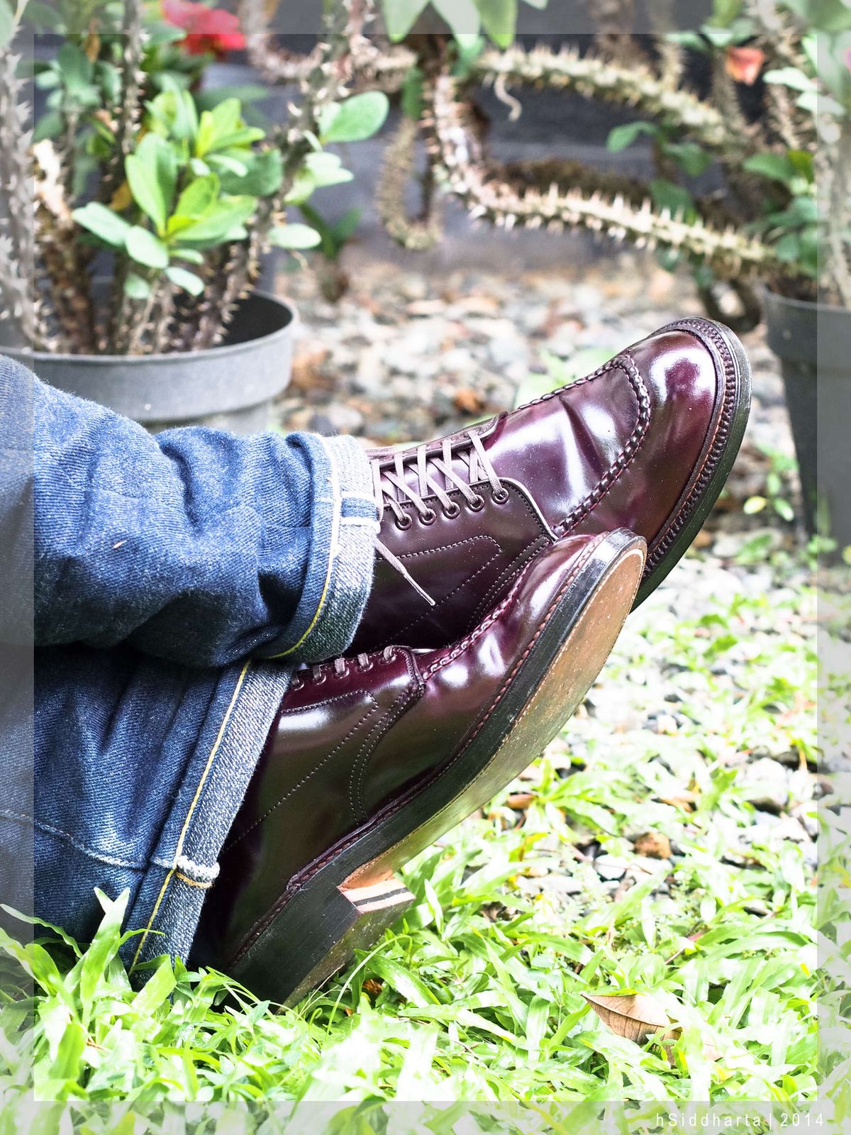 Photo by hsiddharta on June 14, 2014 of the Alden Indy Boot in Horween Color 8 Shell Cordovan.