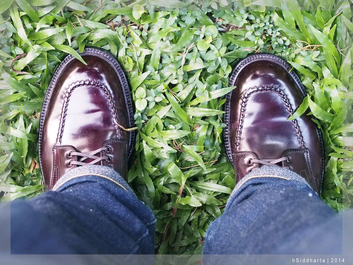 Photo by hsiddharta on June 13, 2014 of the Alden Indy Boot in Horween Color 8 Shell Cordovan.