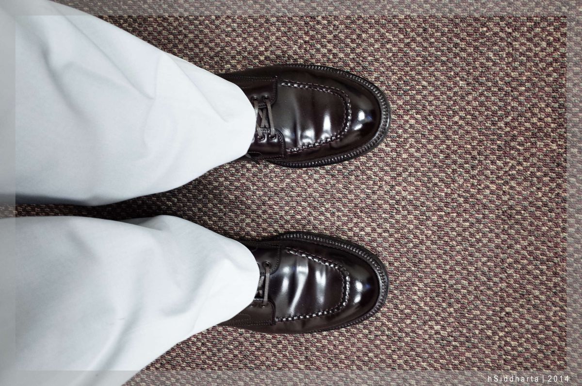 Photo by hsiddharta on June 16, 2014 of the Alden Indy Boot in Horween Color 8 Shell Cordovan.