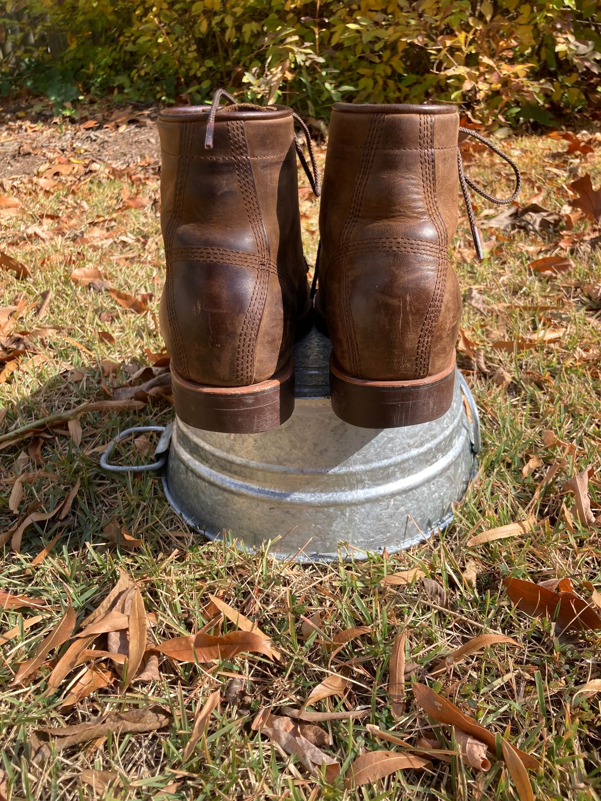 Photo by majstevetrevor on November 3, 2025 of the Chippewa Unknown Model in Apache.