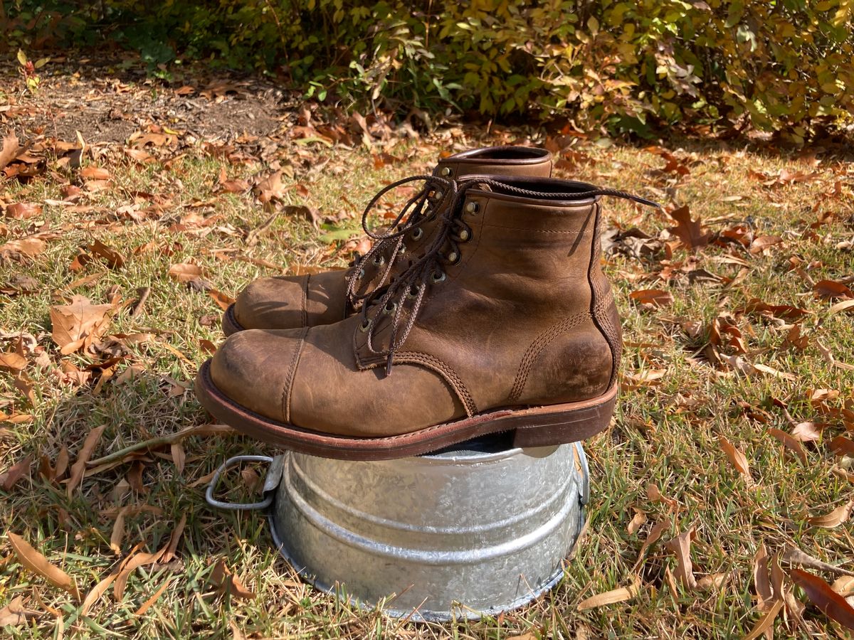 Photo by majstevetrevor on November 3, 2025 of the Chippewa Unknown Model in Apache.