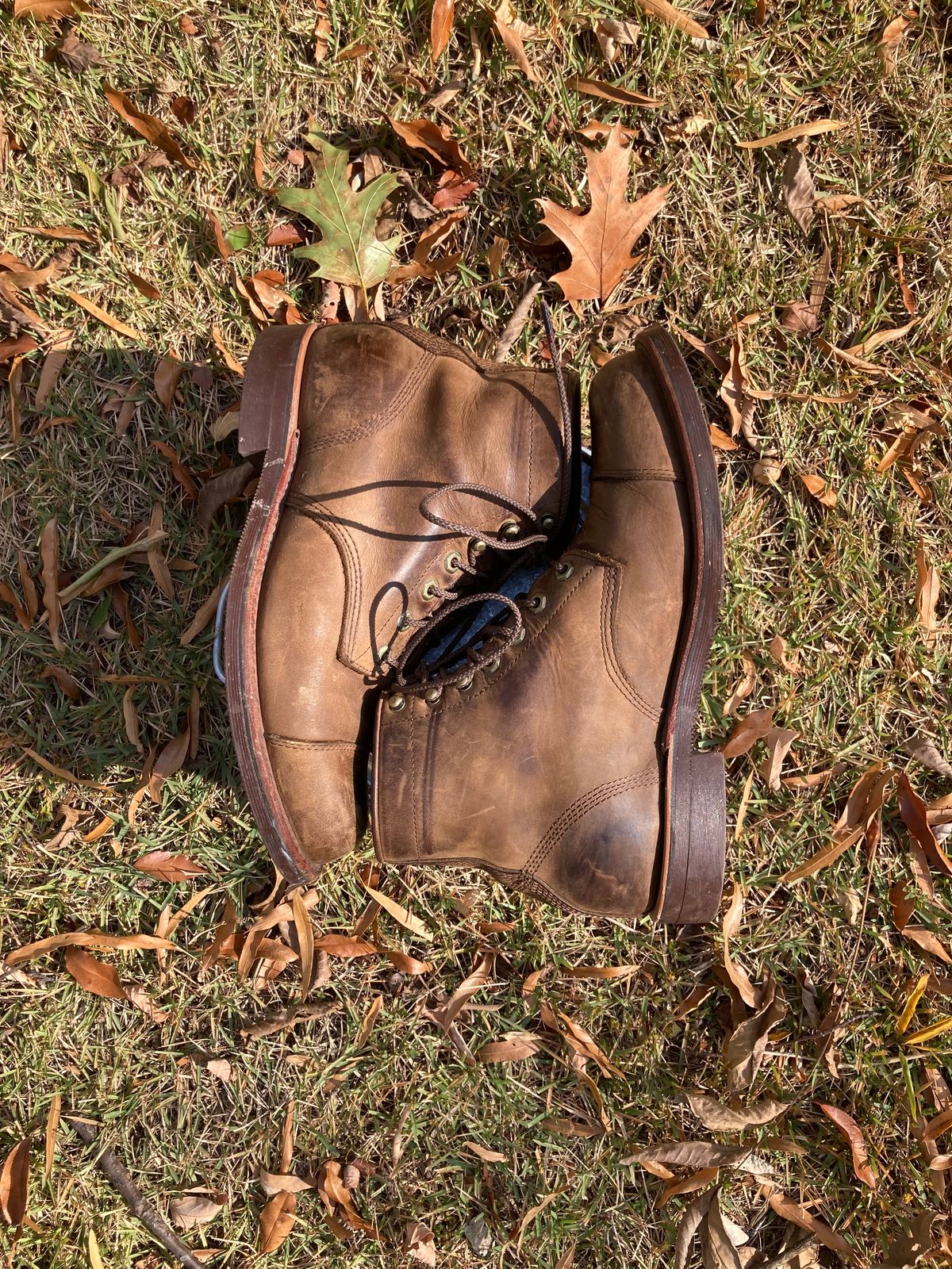 Photo by majstevetrevor on November 3, 2025 of the Chippewa Unknown Model in Apache.