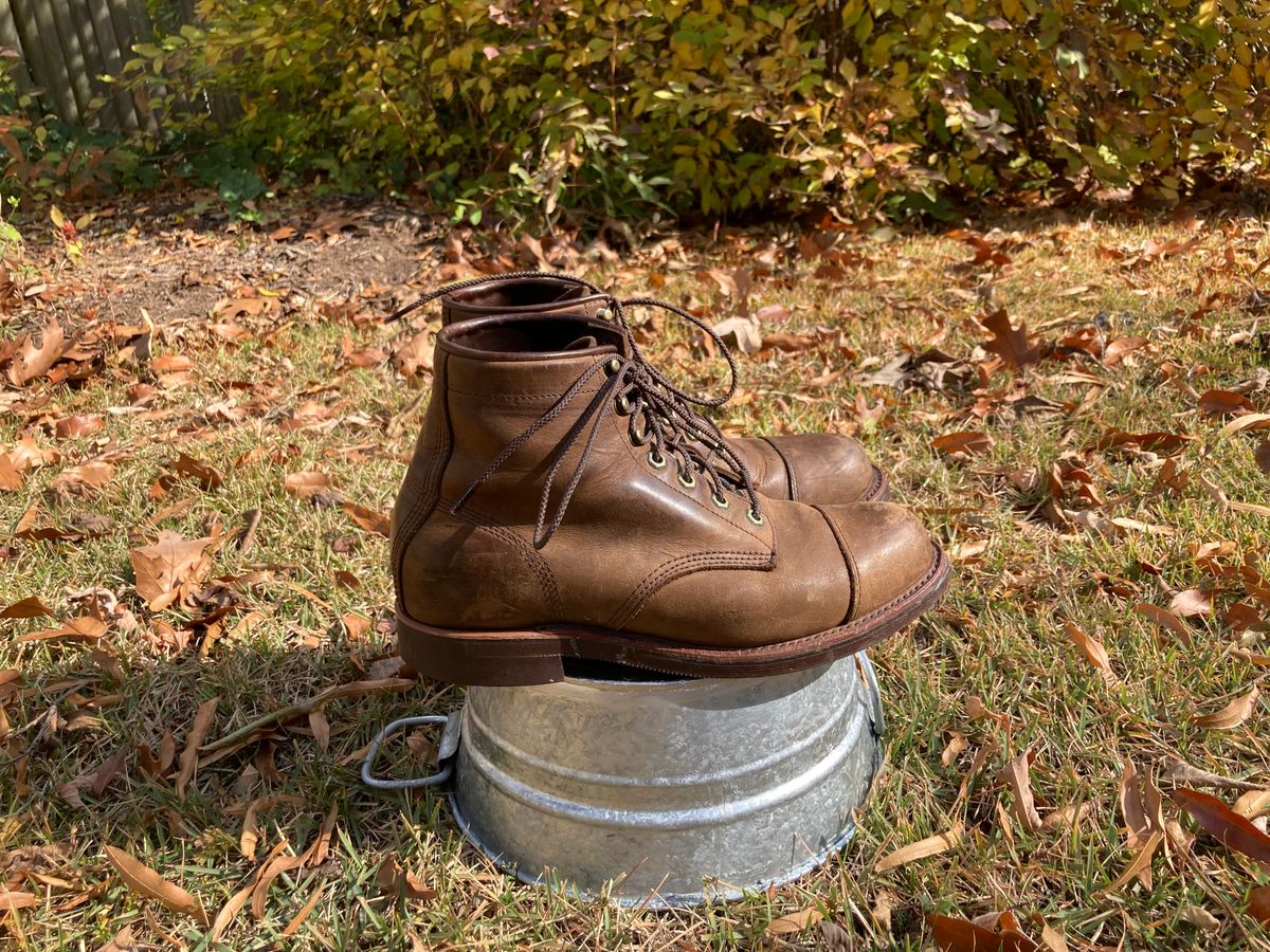 Photo by majstevetrevor on November 3, 2025 of the Chippewa Unknown Model in Apache.