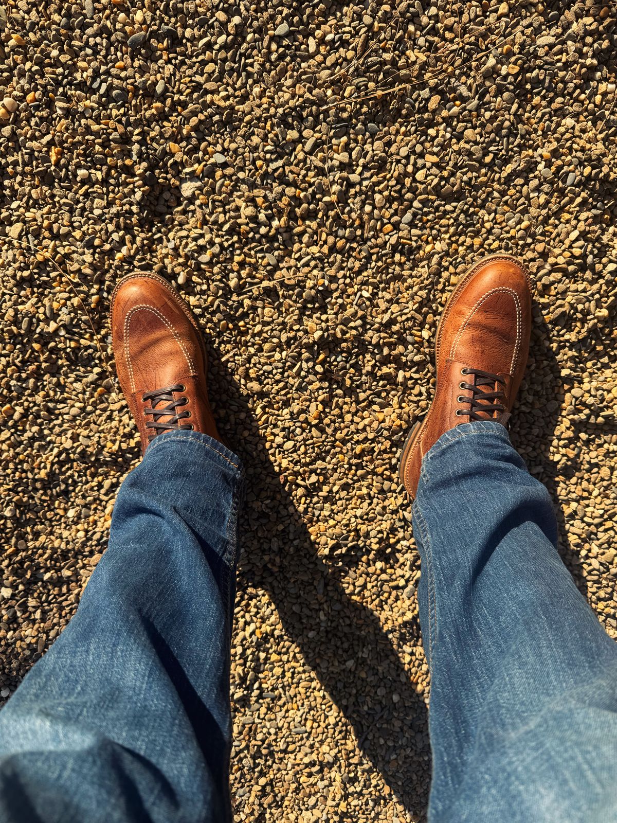 Photo by Walldaddy on February 9, 2026 of the Parkhurst The Niagara in C.F. Stead Anise Kudu.