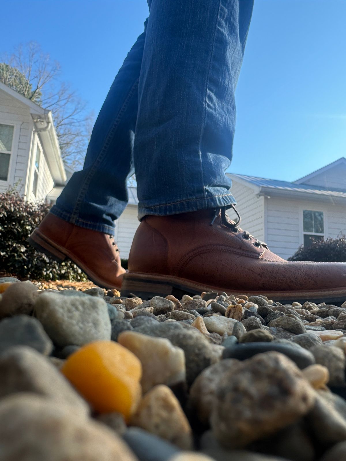 Photo by Walldaddy on February 9, 2026 of the Parkhurst The Niagara in C.F. Stead Anise Kudu.