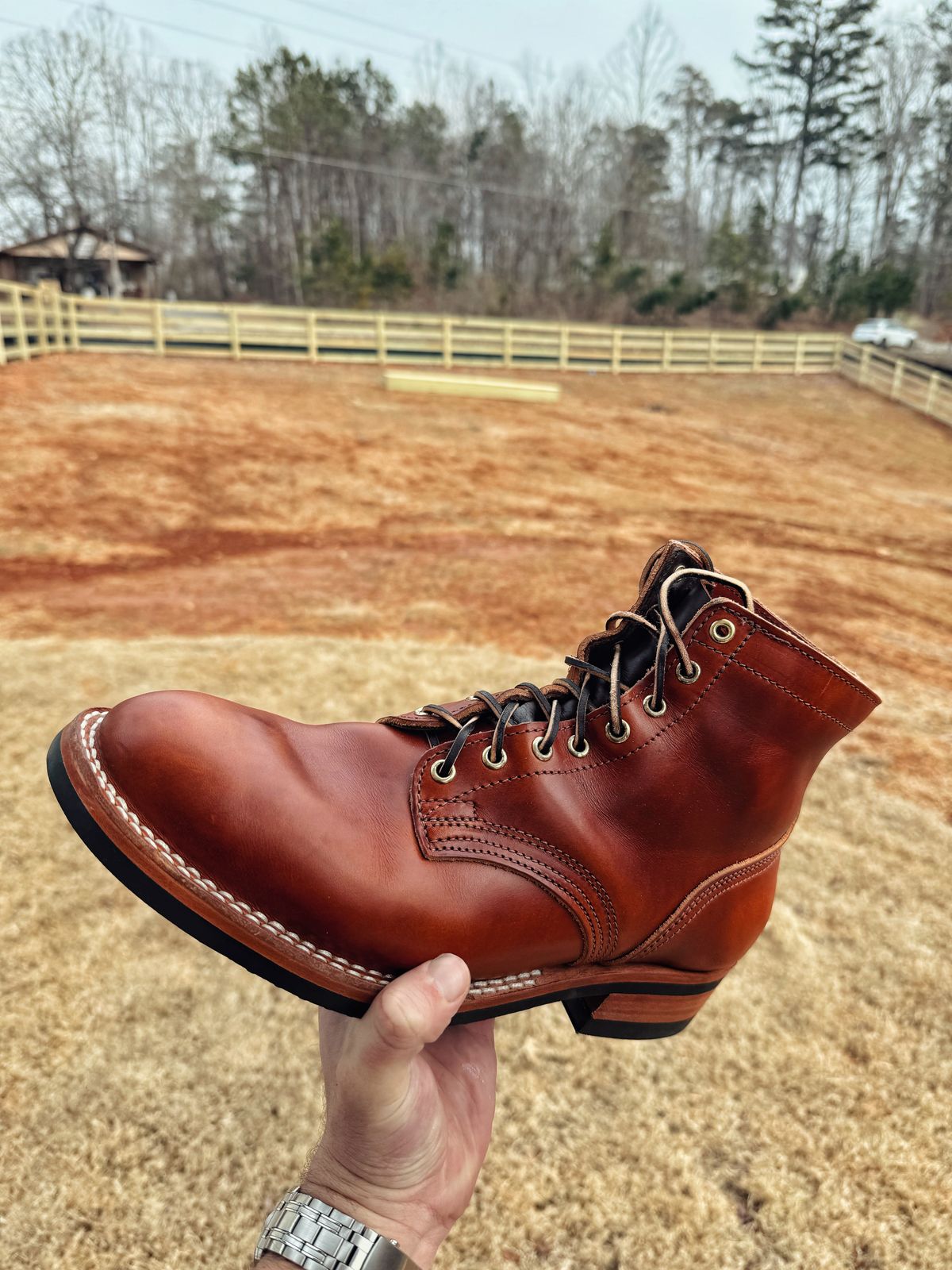 Photo by Walldaddy on February 3, 2026 of the Nicks Parkhurst V3 in Wickett & Craig Tan Oiled Latigo.