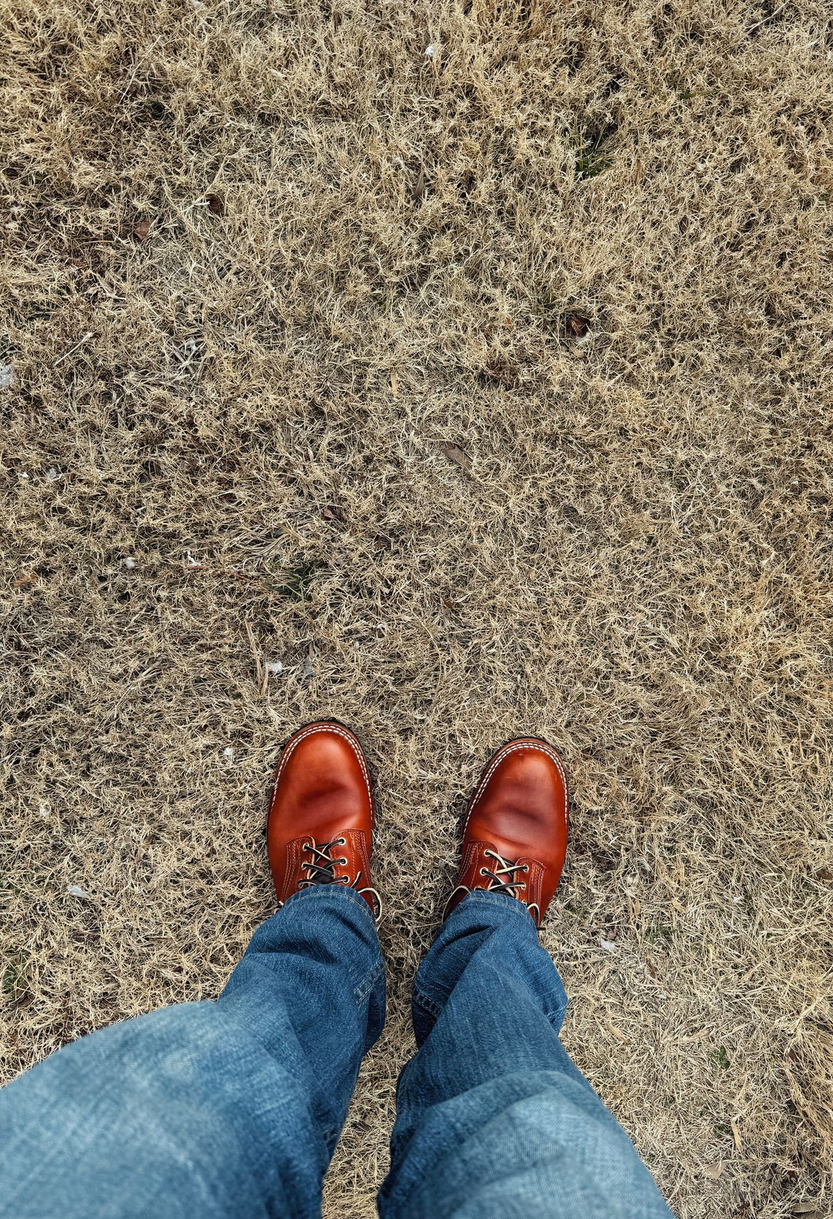 Photo by Walldaddy on February 3, 2026 of the Nicks Parkhurst V3 in Wickett & Craig Tan Oiled Latigo.