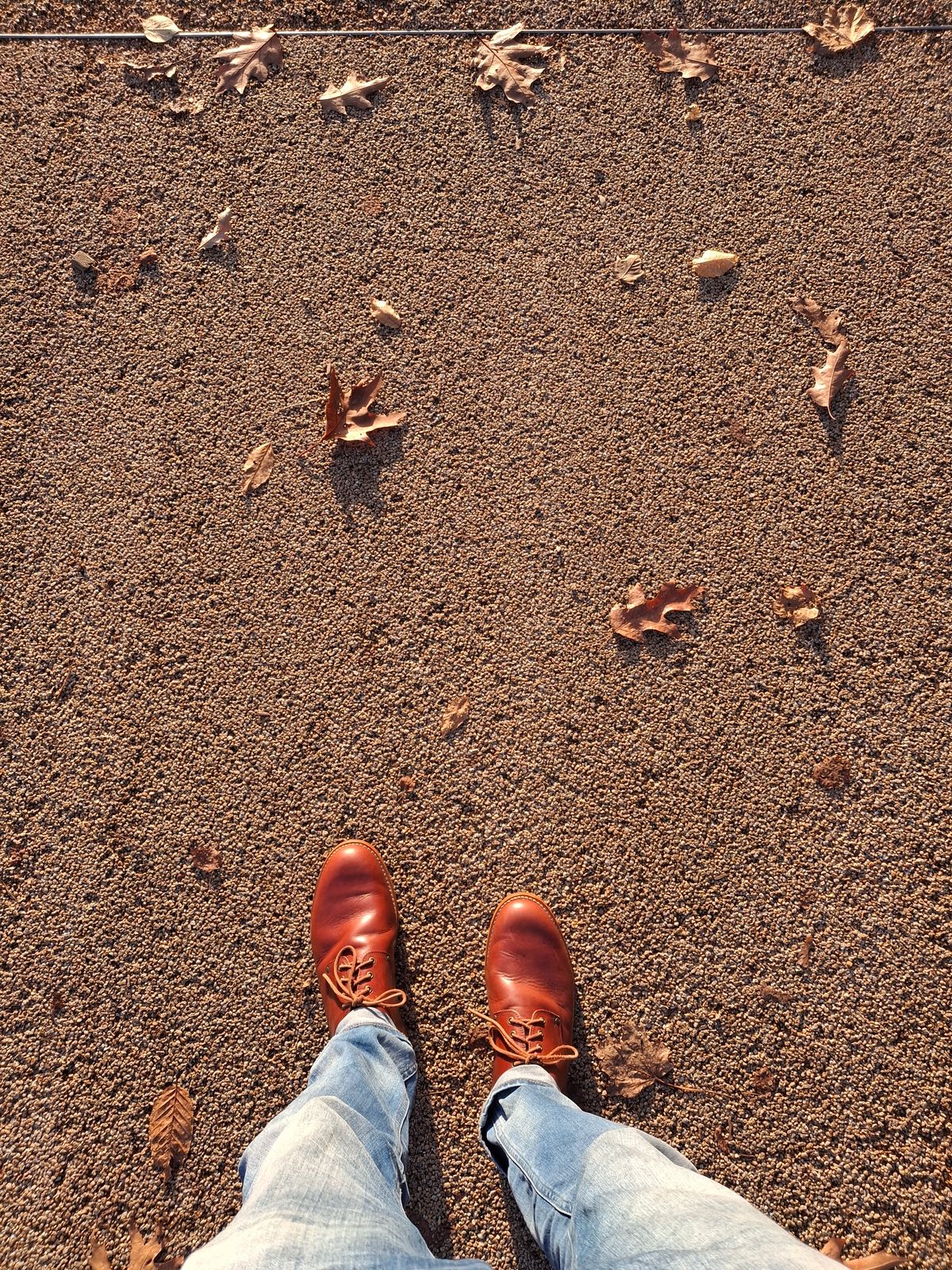 Photo by ShiningMyShoes on November 2, 2024 of the Green Boots - Earth Heritage London in Cognac Veg Tan.