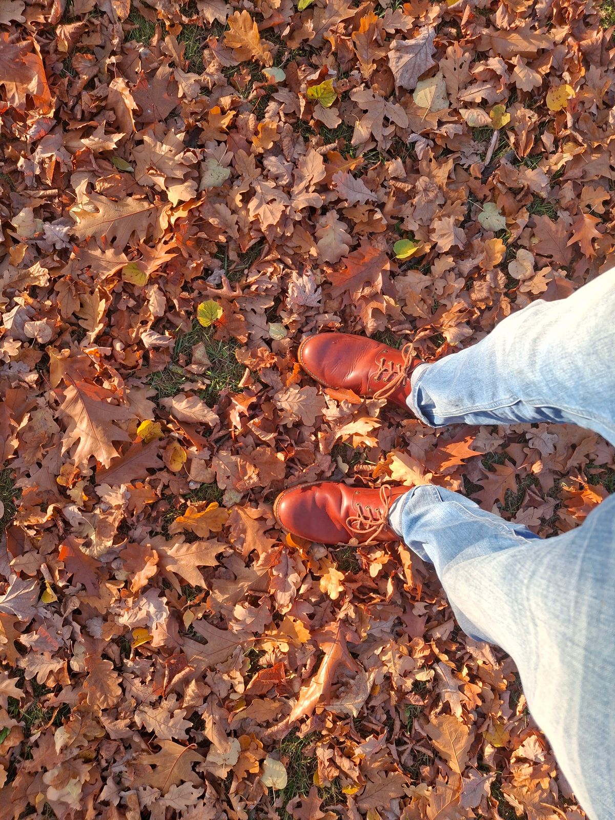 Photo by ShiningMyShoes on November 2, 2024 of the Green Boots - Earth Heritage London in Cognac Veg Tan.