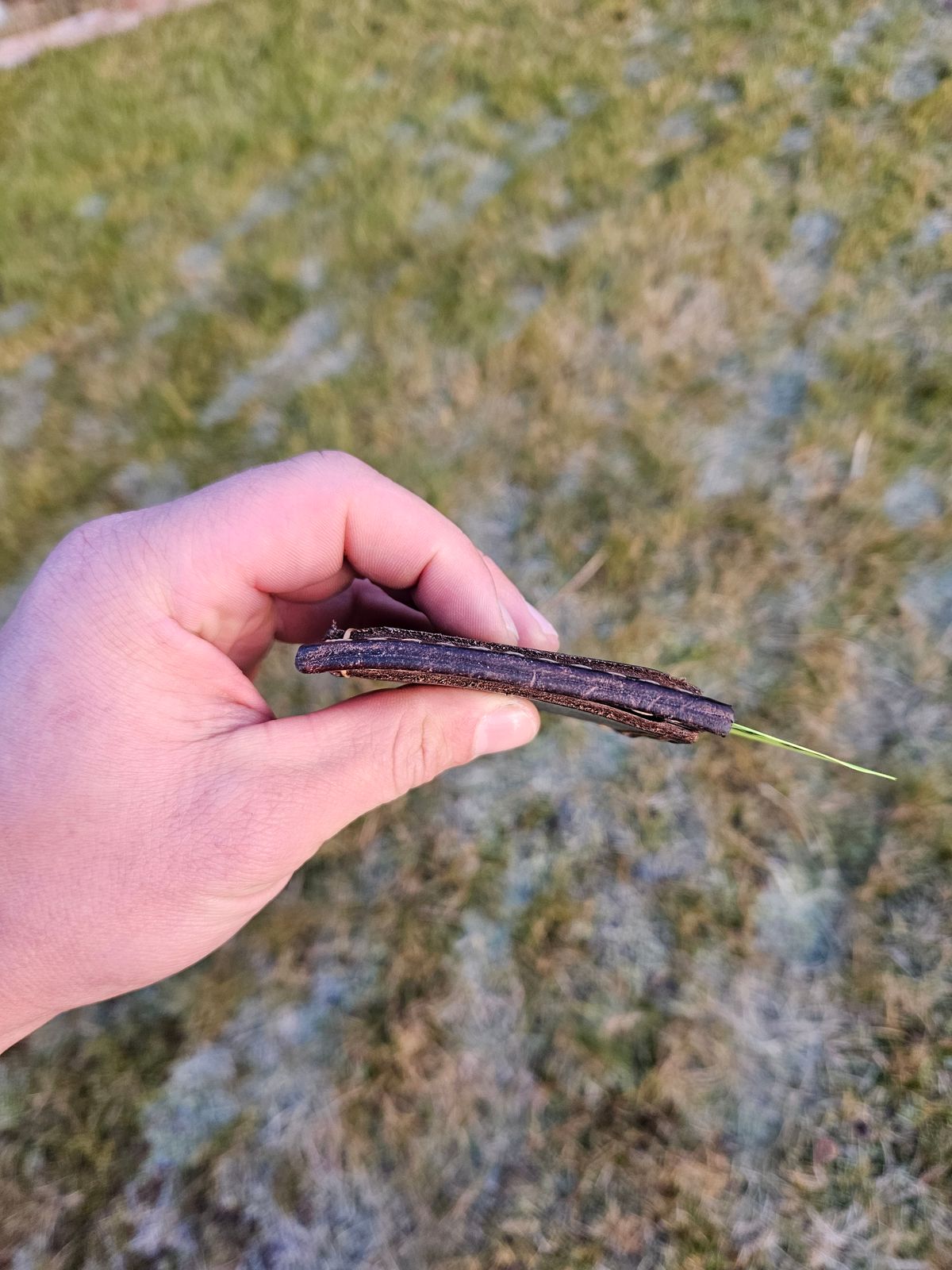 Photo by Theakkid on November 3, 2025 of the Pale's Custom Leatherworks Slim Wallet in Horween Brown Waxed Flesh.